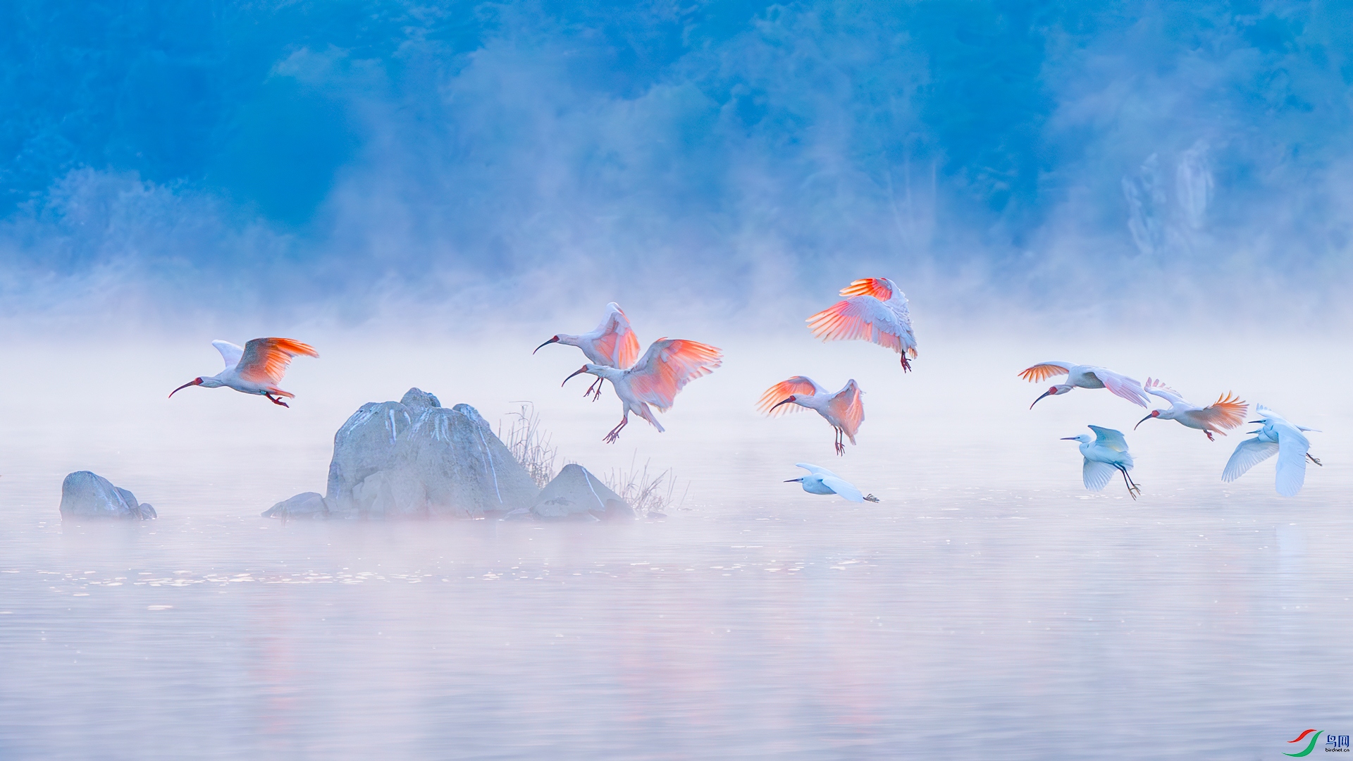 ���������� ����֮�� ��������.jpg