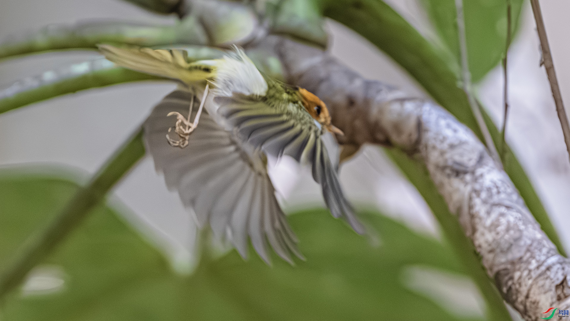 DSC_0667-����ǿ-NR ����.jpg