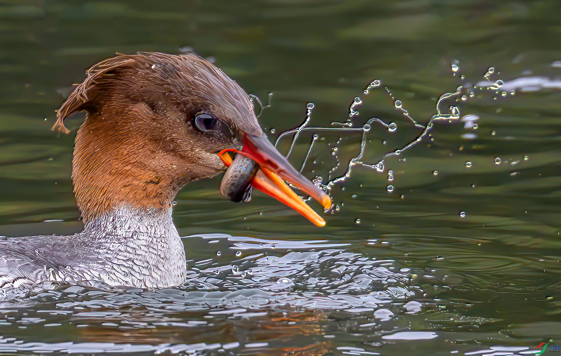 407A6779----33  .jpg