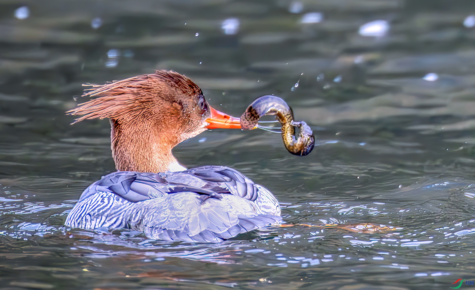 407A7586------33  .jpg