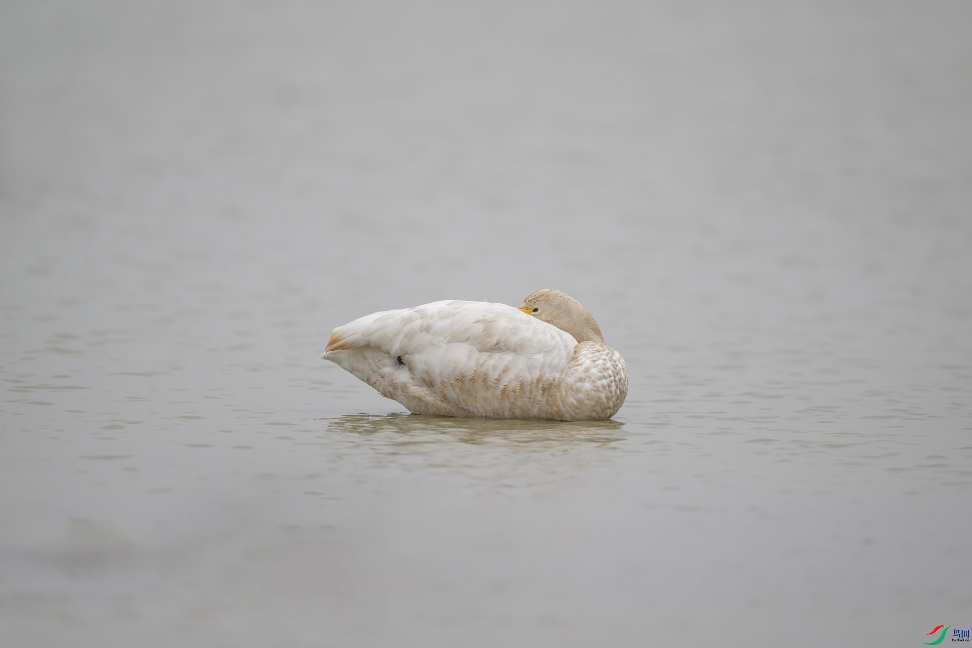 DSC_0316.jpg