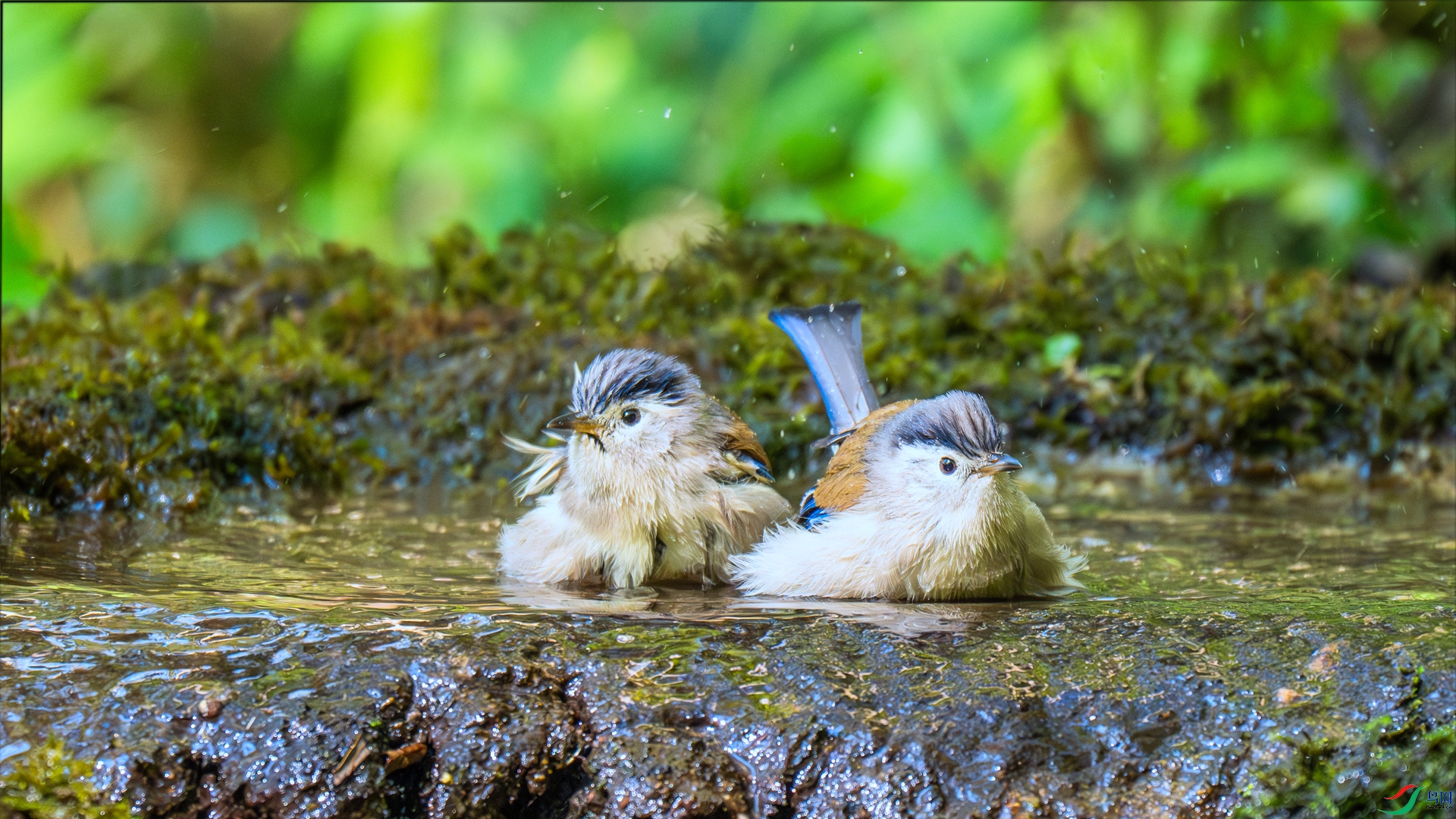 DSC_9369 ����_����.jpg