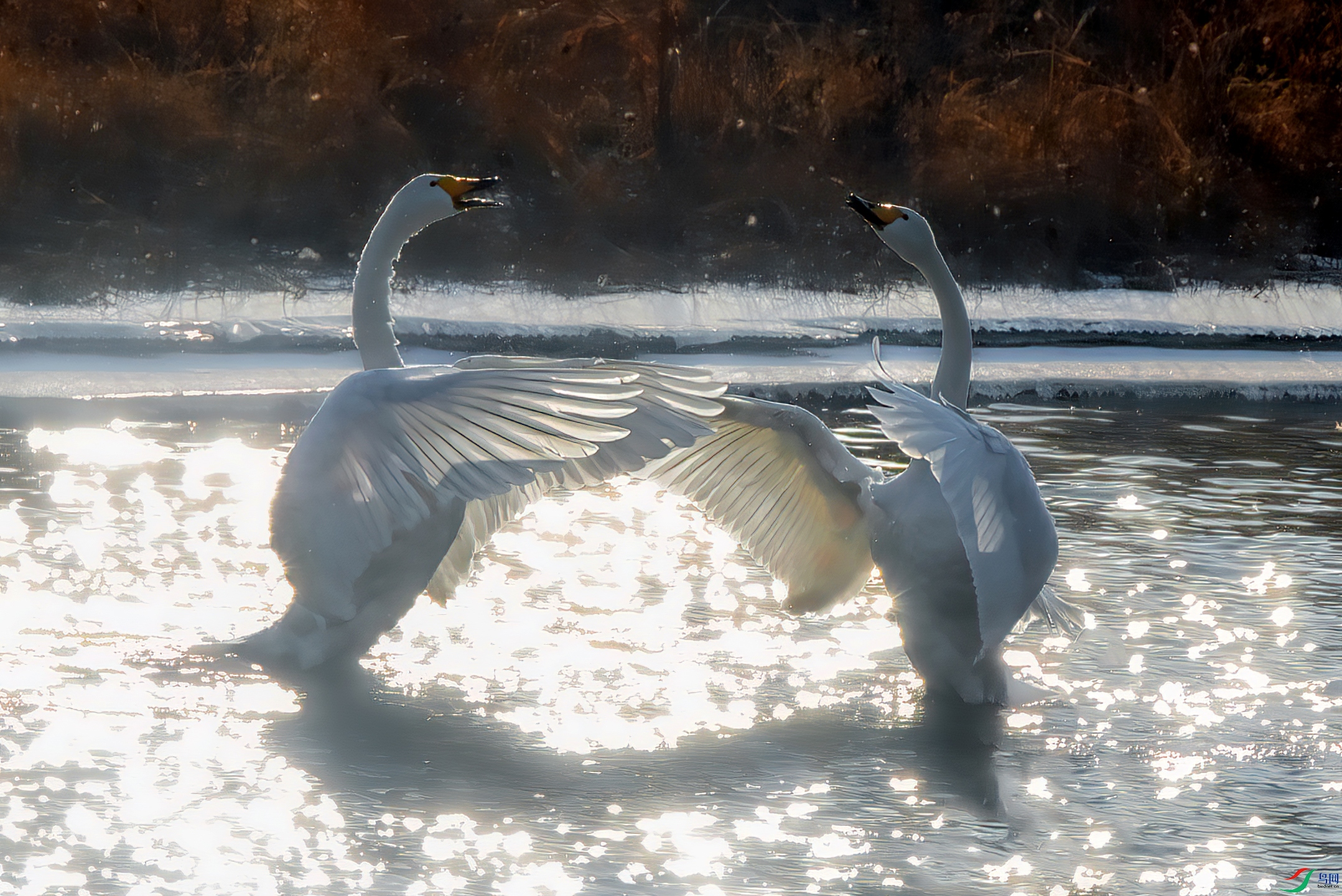 DSC_3179-001.jpg