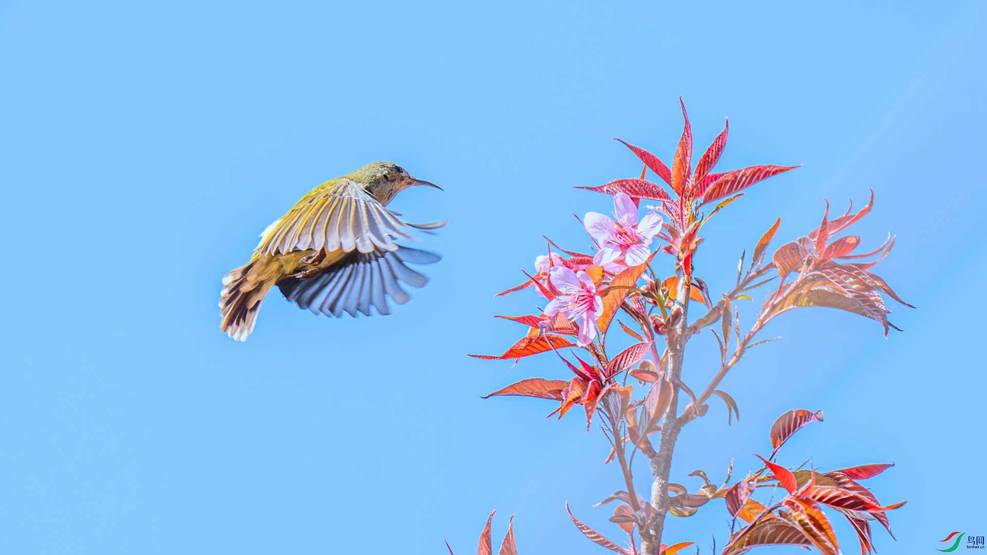 DSC_9776 ����_����.jpg