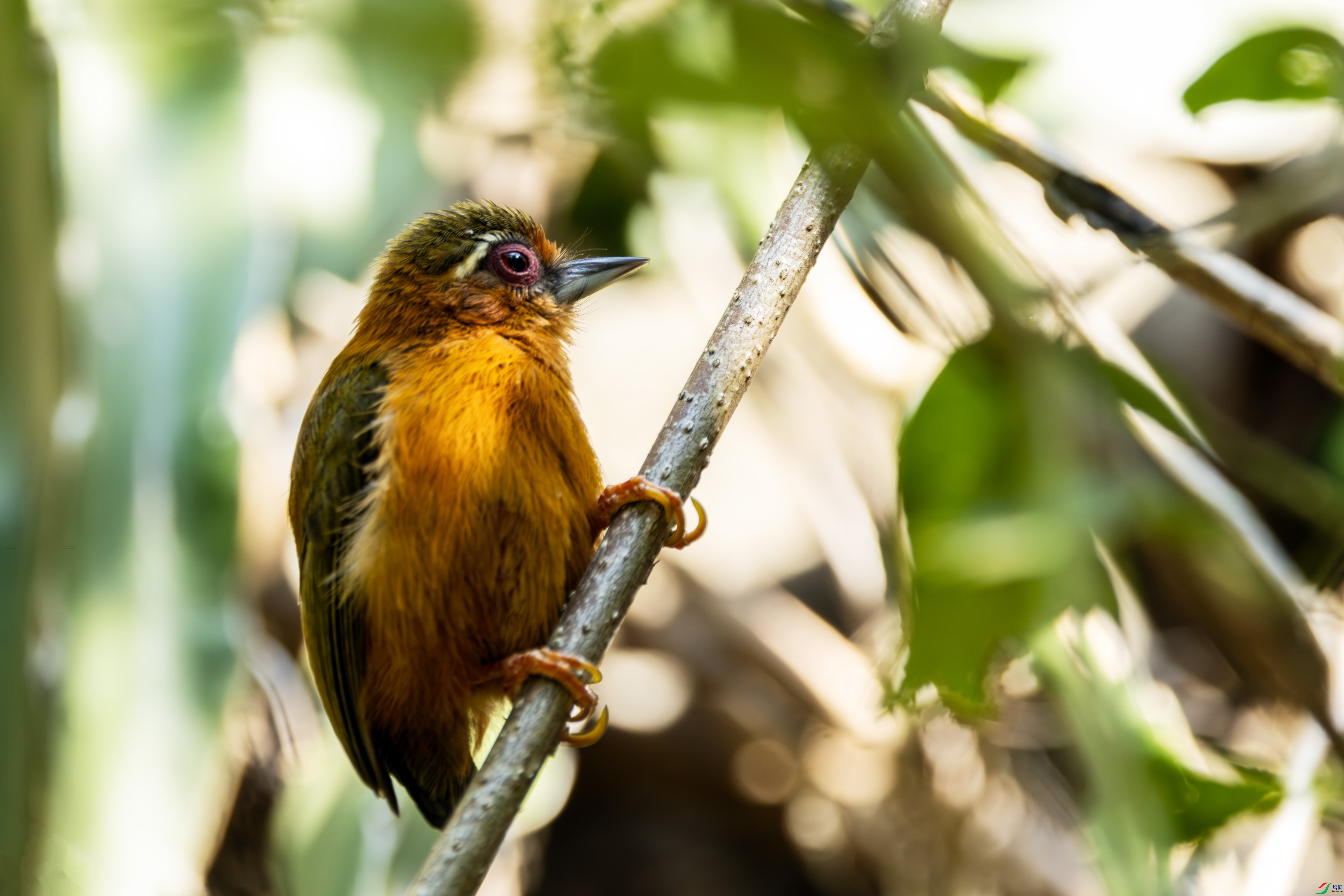 ��ü����ľ��