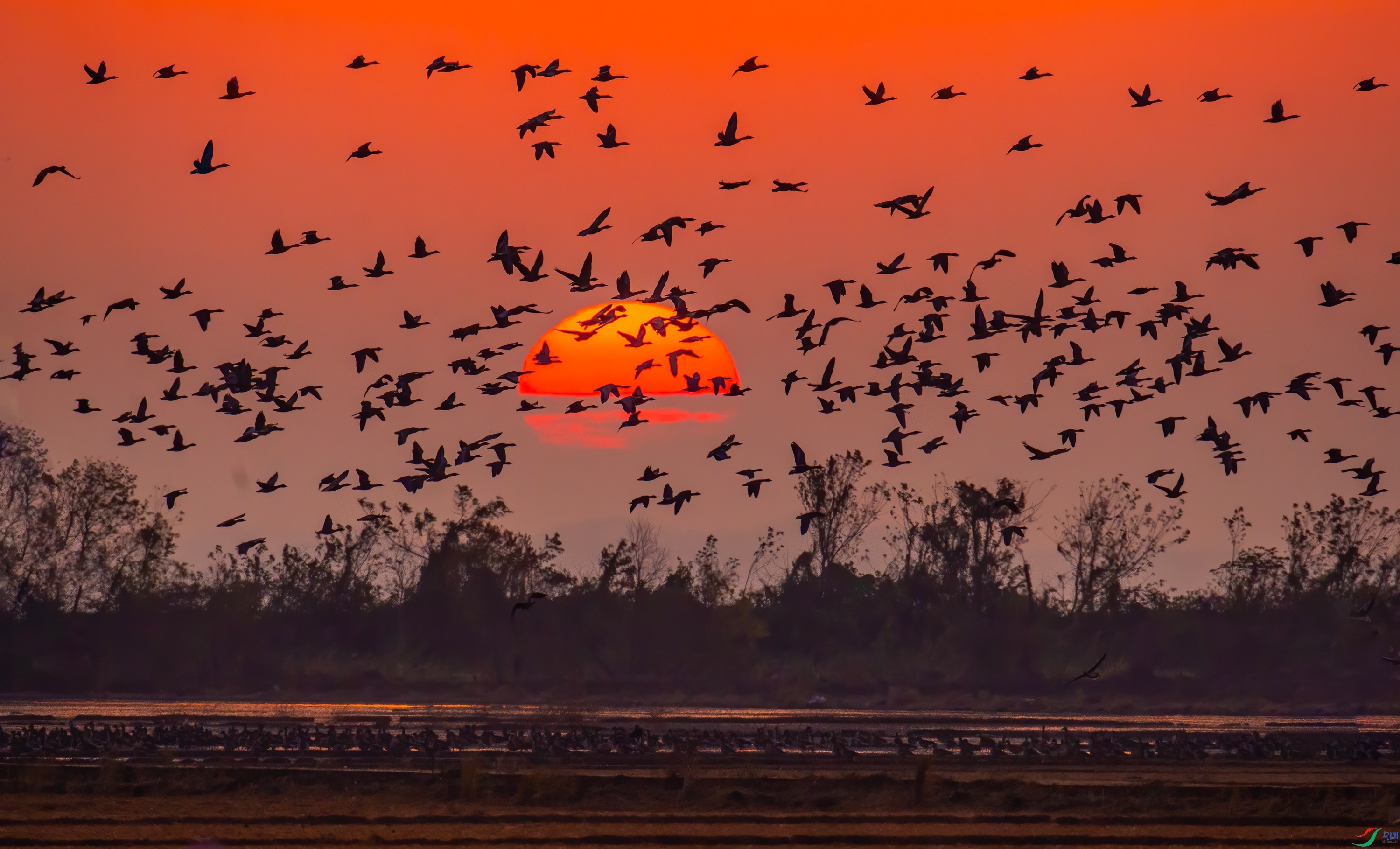 YJY_1822 ����_����.jpg