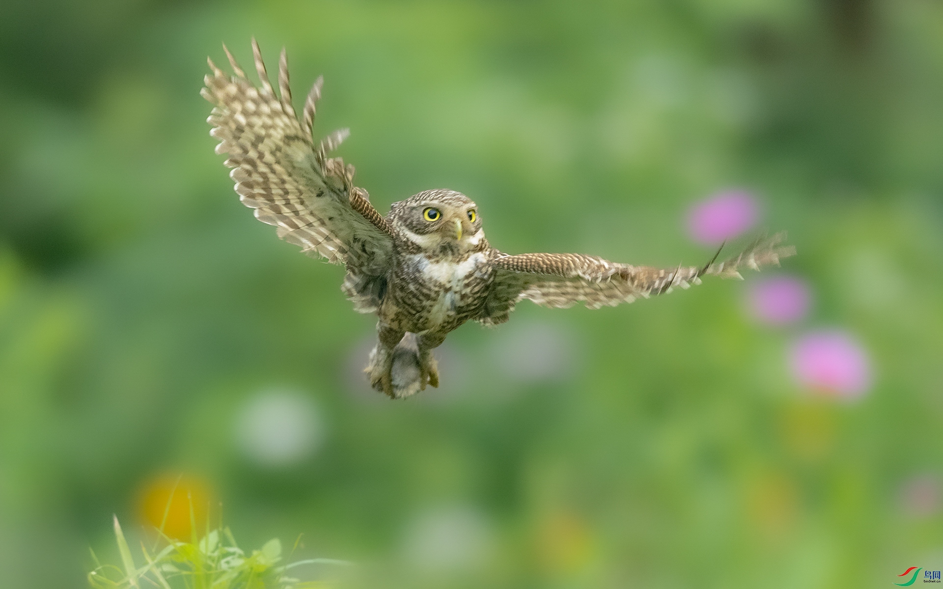 0E8A8360����  ��ͷ��m 02.jpg