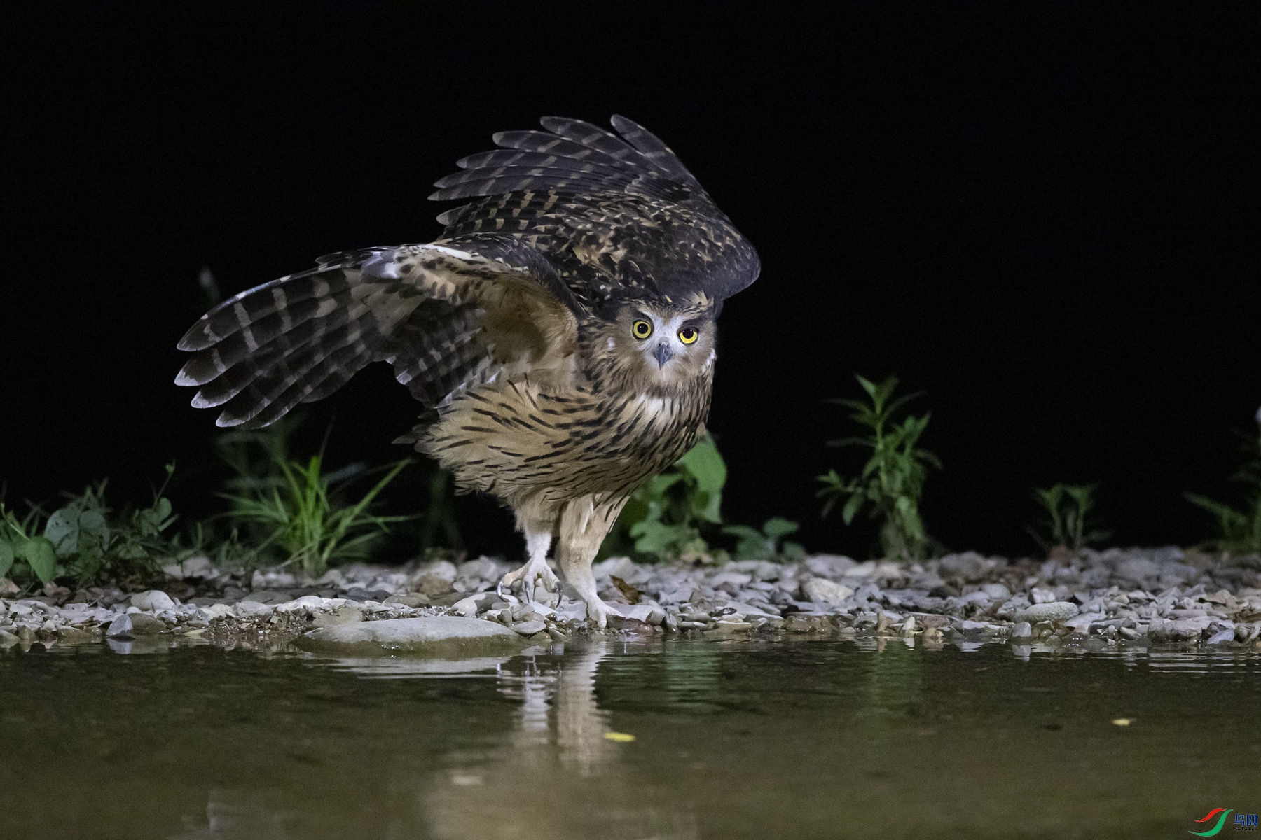 �������^