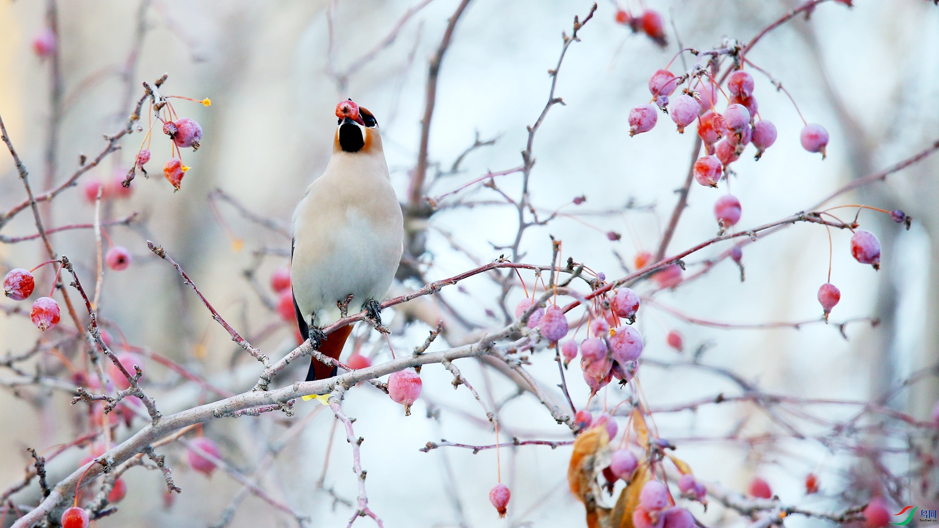 111.jpg