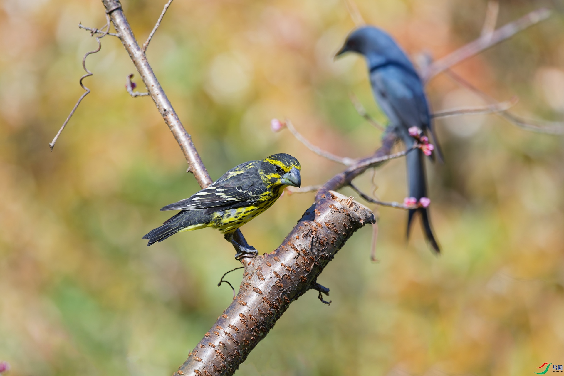 DSC_6157_DxO_DxOa.jpg