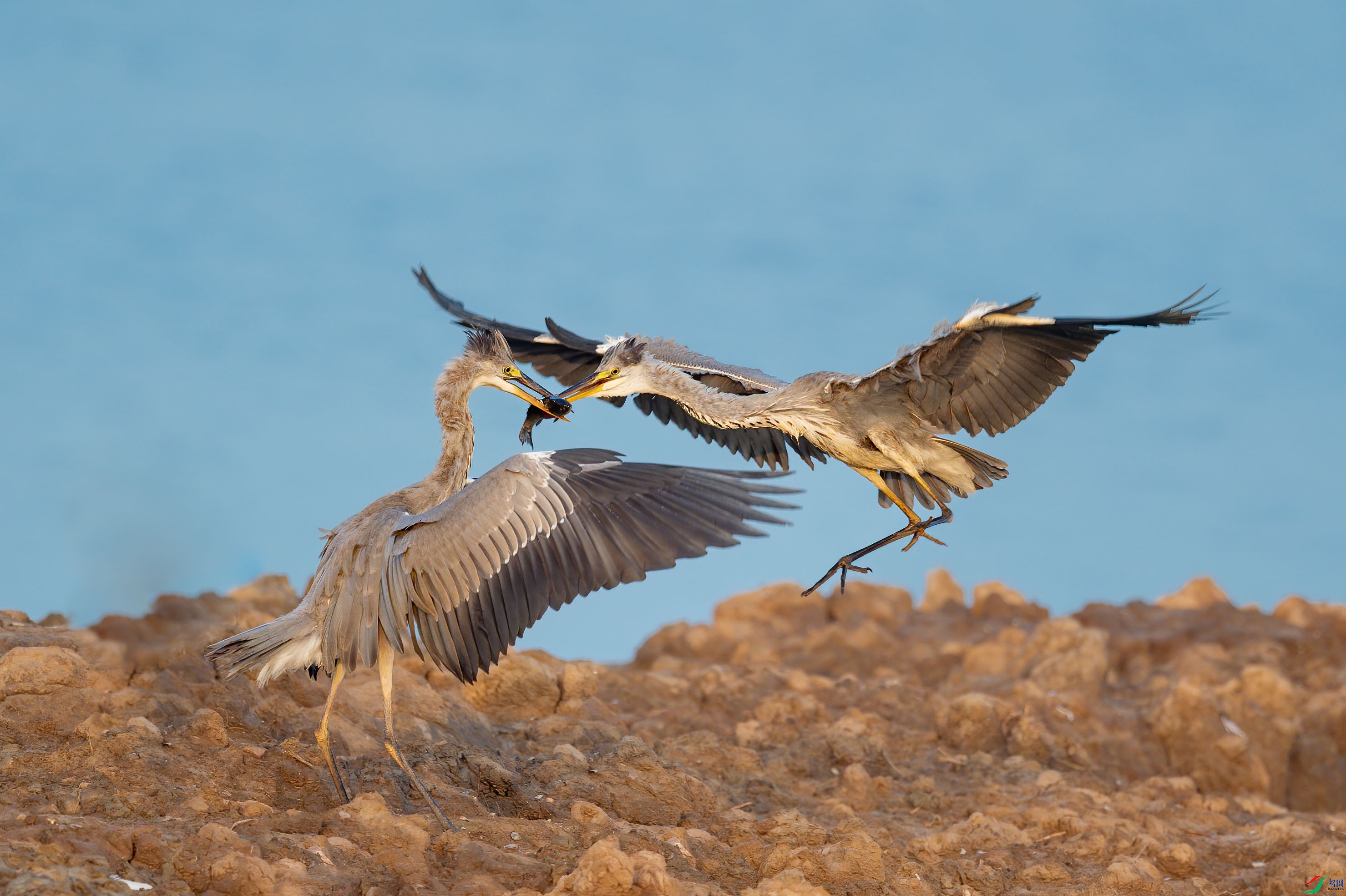 sen2016 8-4-32-�༭-3.jpg