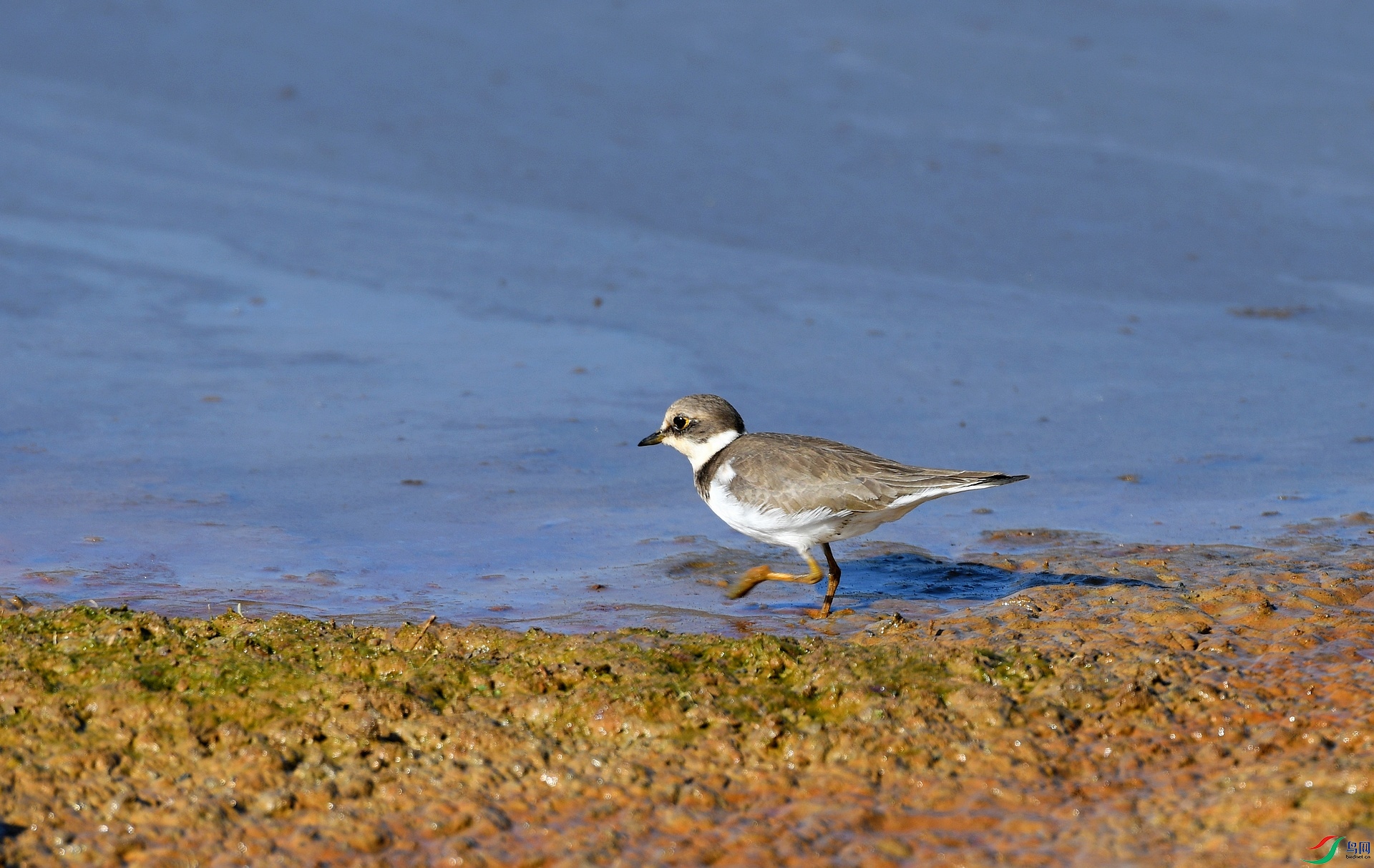 DSC_1107.jpg