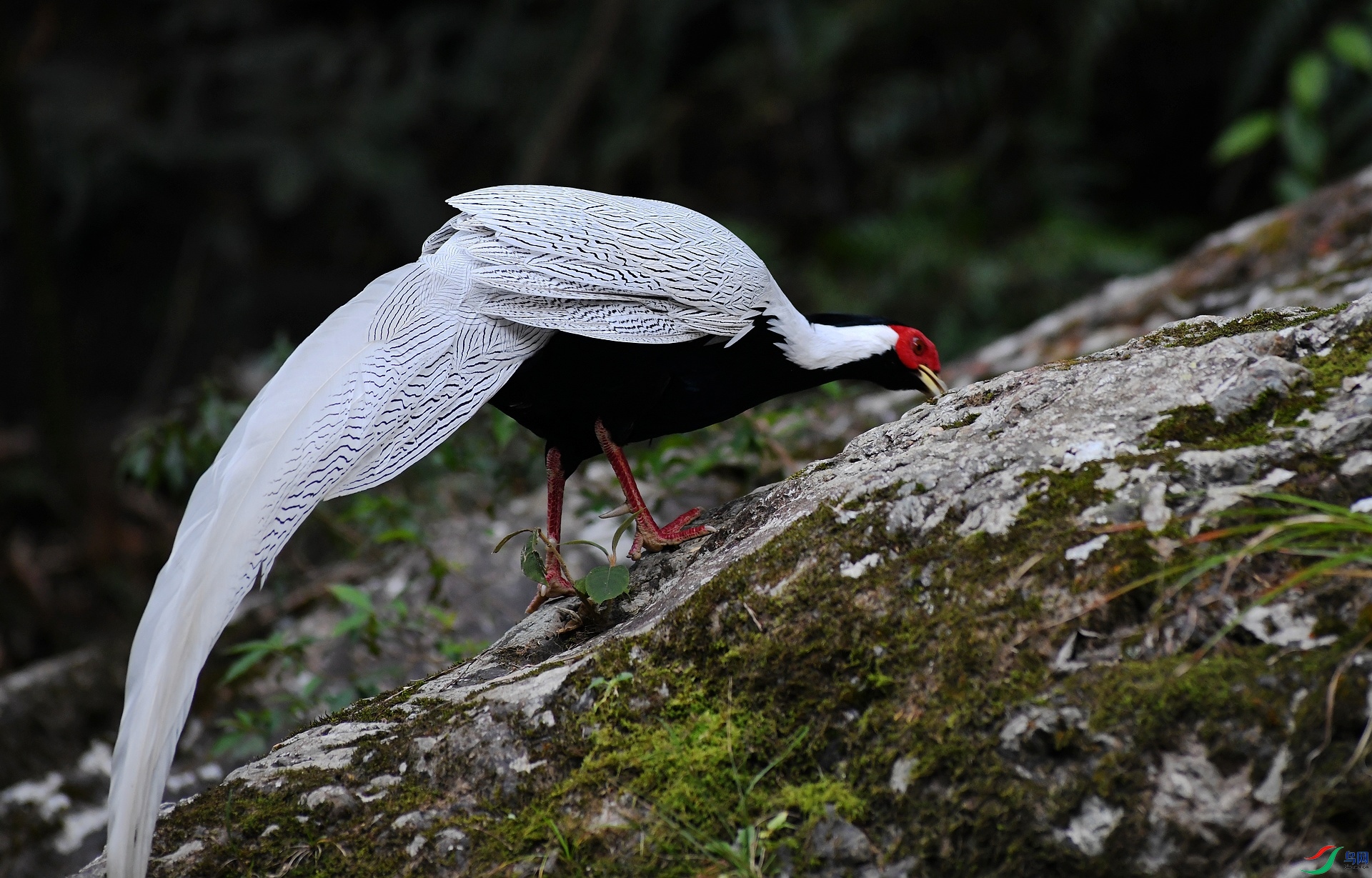 DSC_0640.jpg
