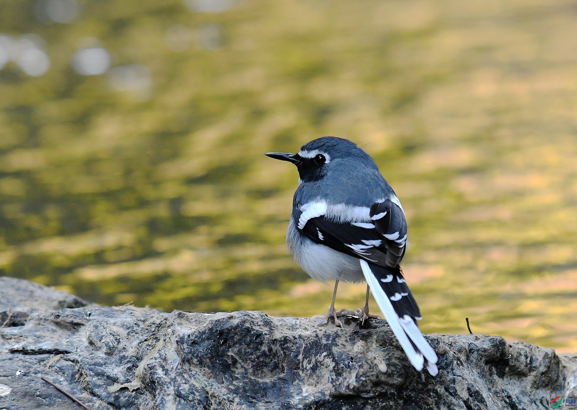 DSC_2039.jpg