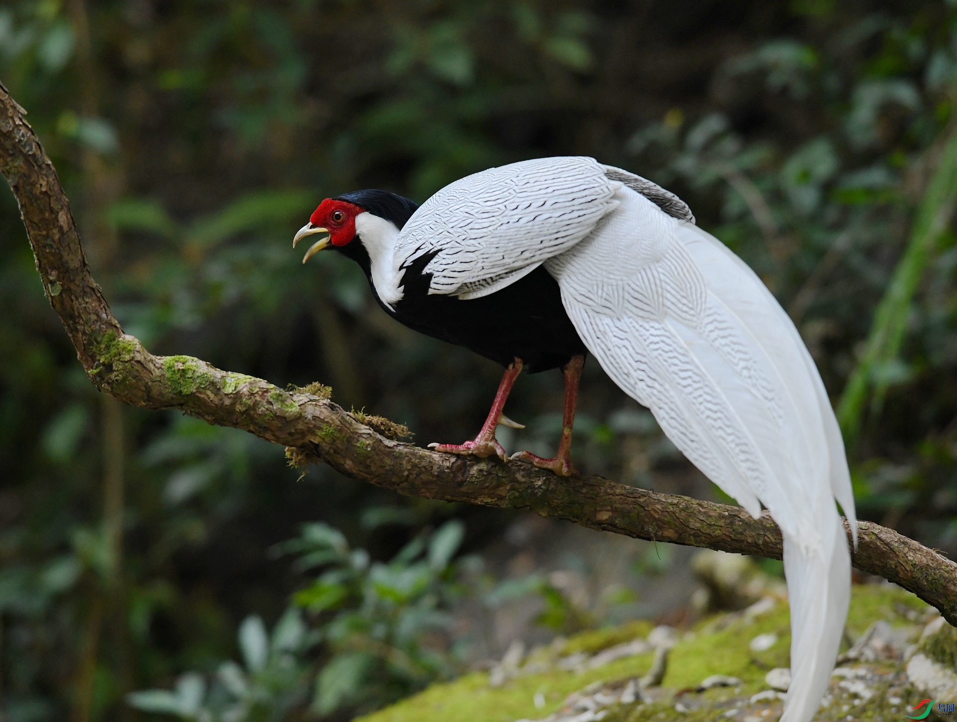 DSC_3450.jpg