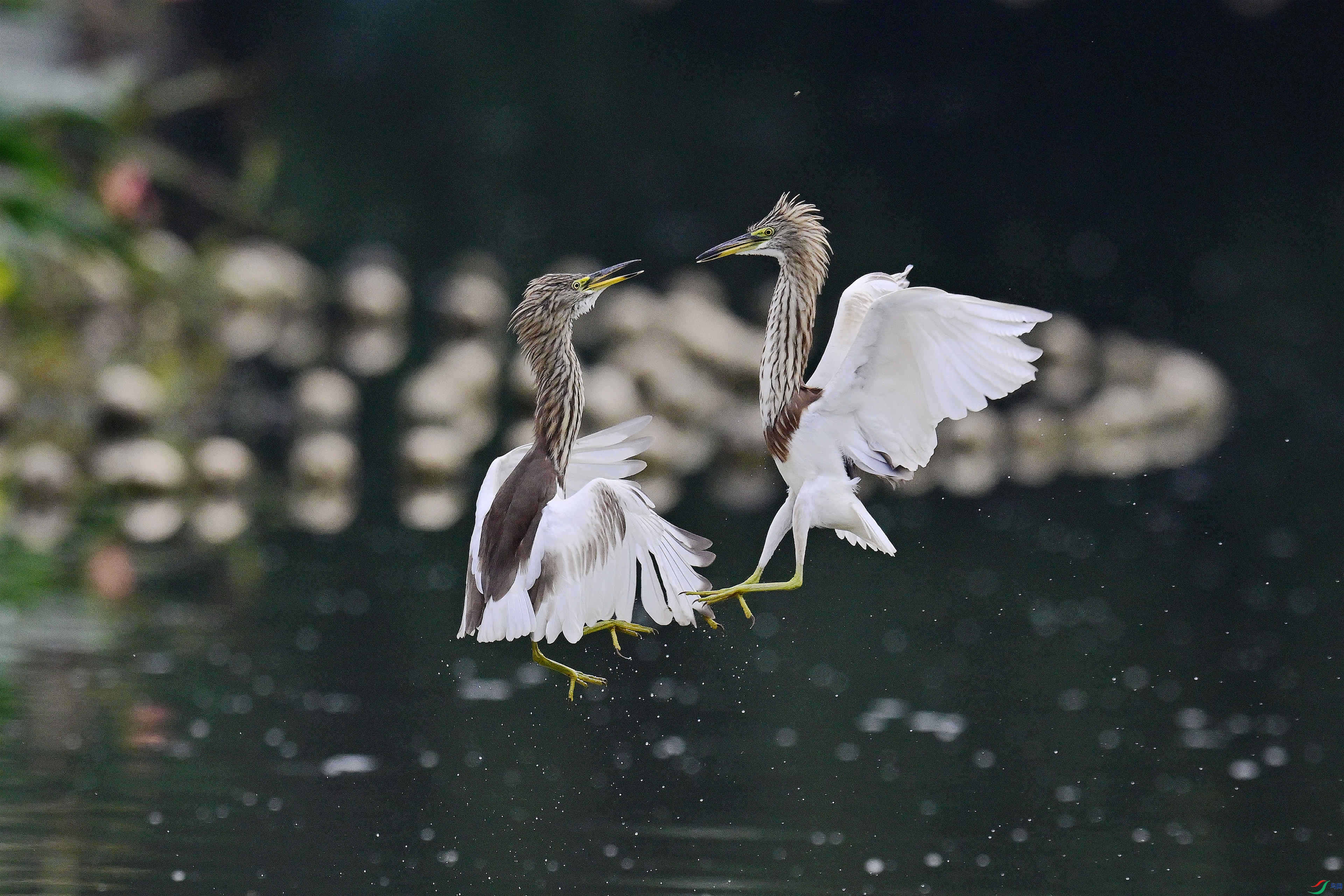 ���а��� (28)_����_����_����.jpg