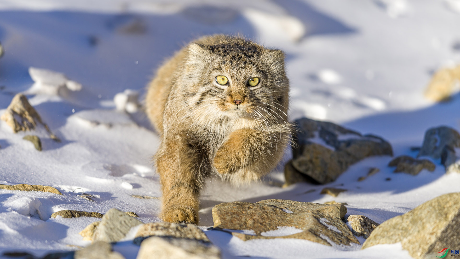 051A5893 ����n.jpg