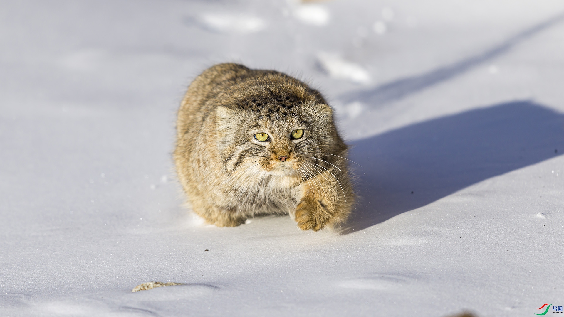 051A5644 ����n.jpg