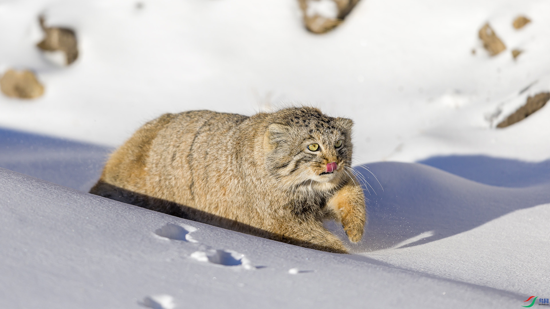 051A5517 ����n.jpg