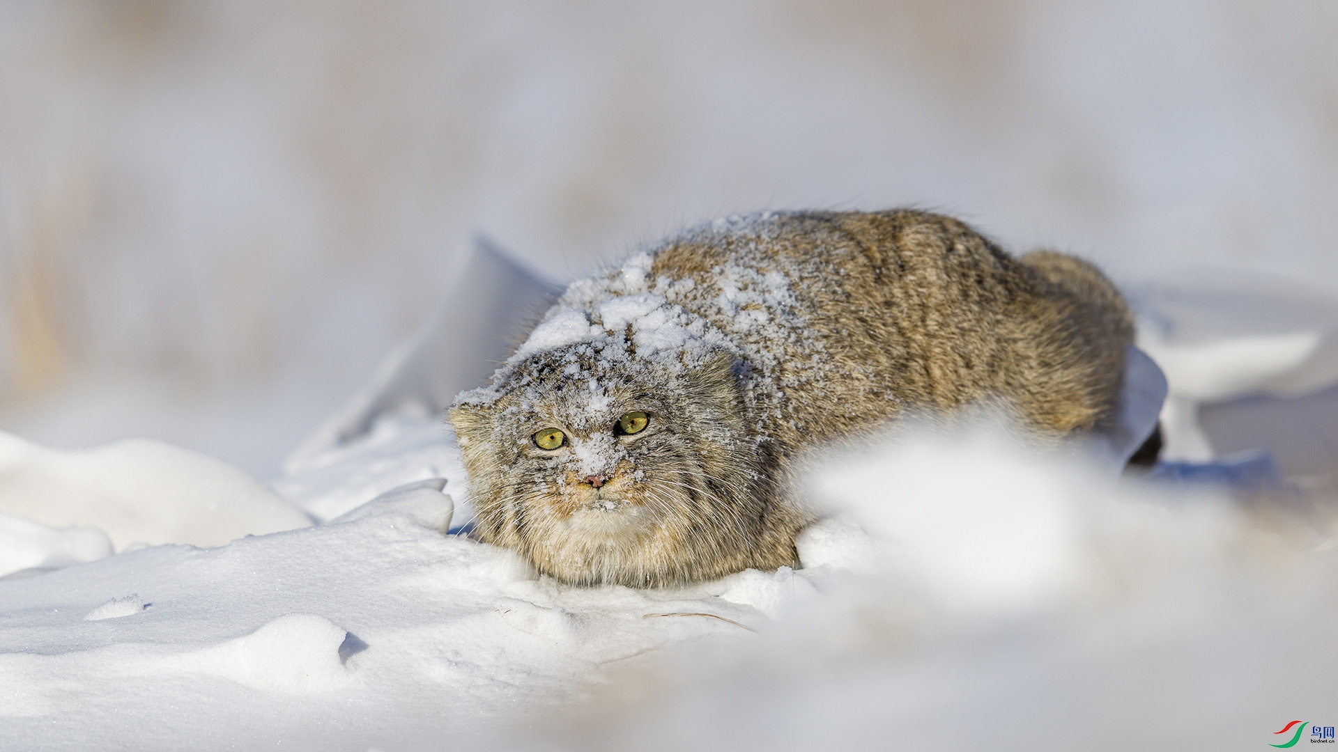 051A6369 ����n.jpg