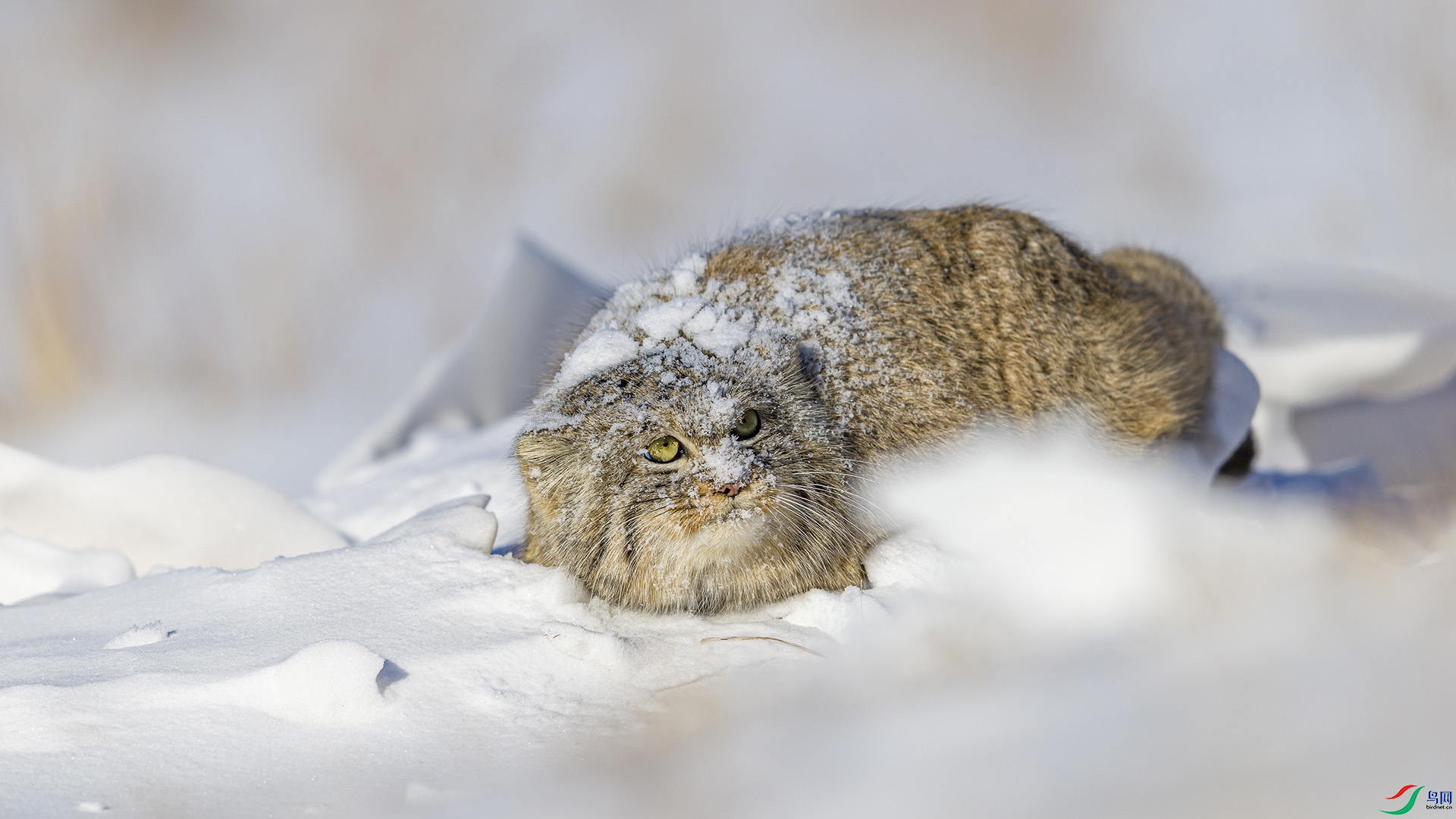 051A6390 ����n.jpg