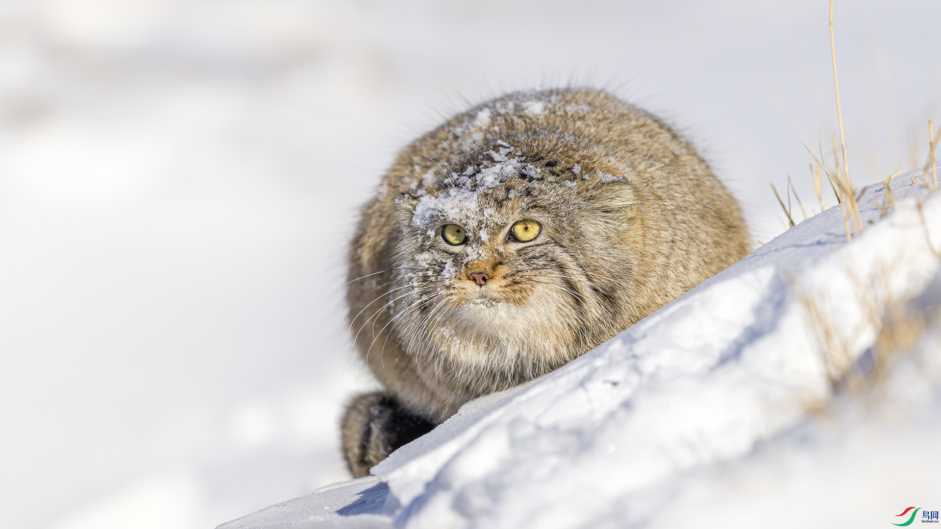 051A6592 ����n.jpg