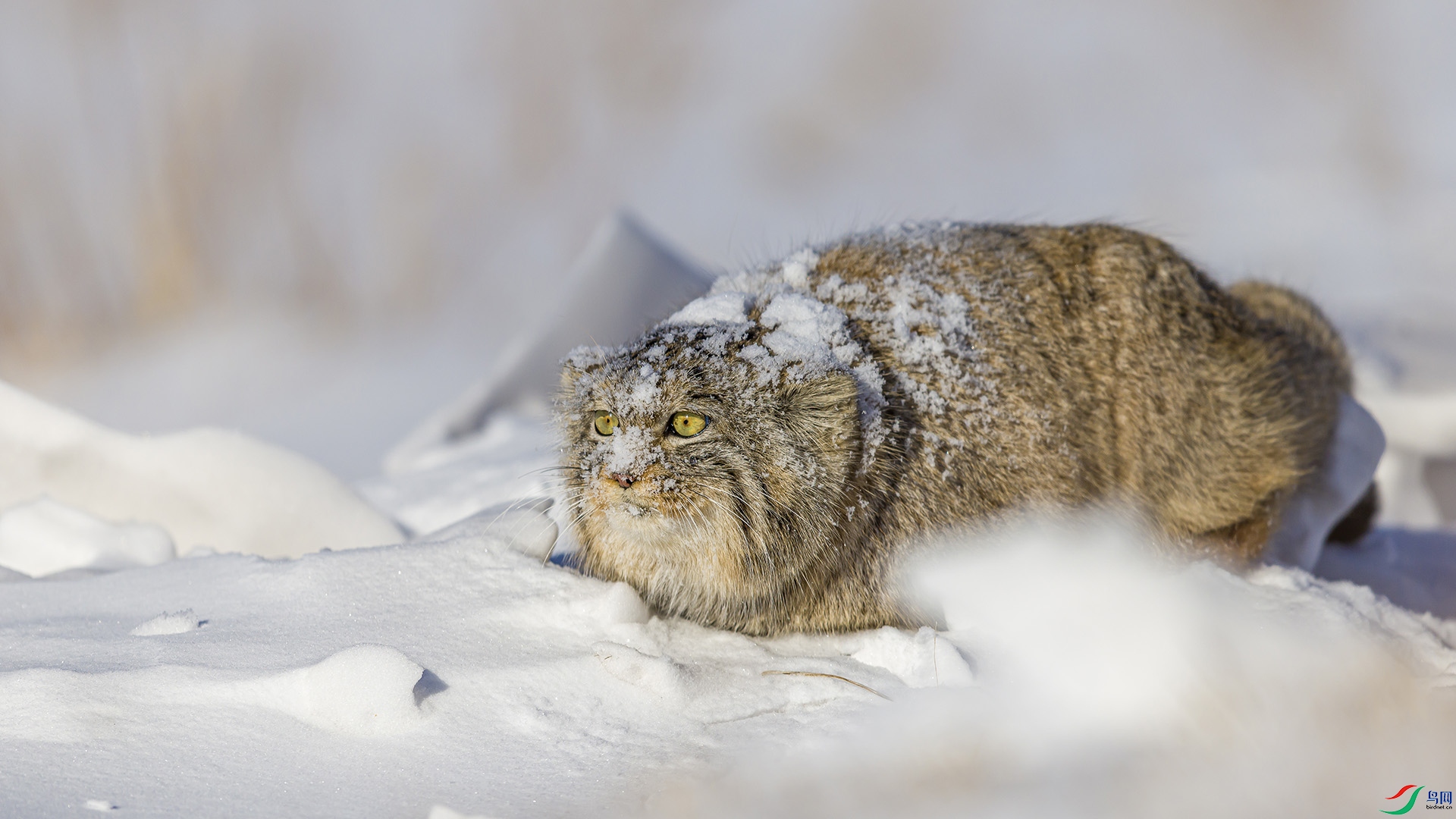 051A6494 ����n.jpg