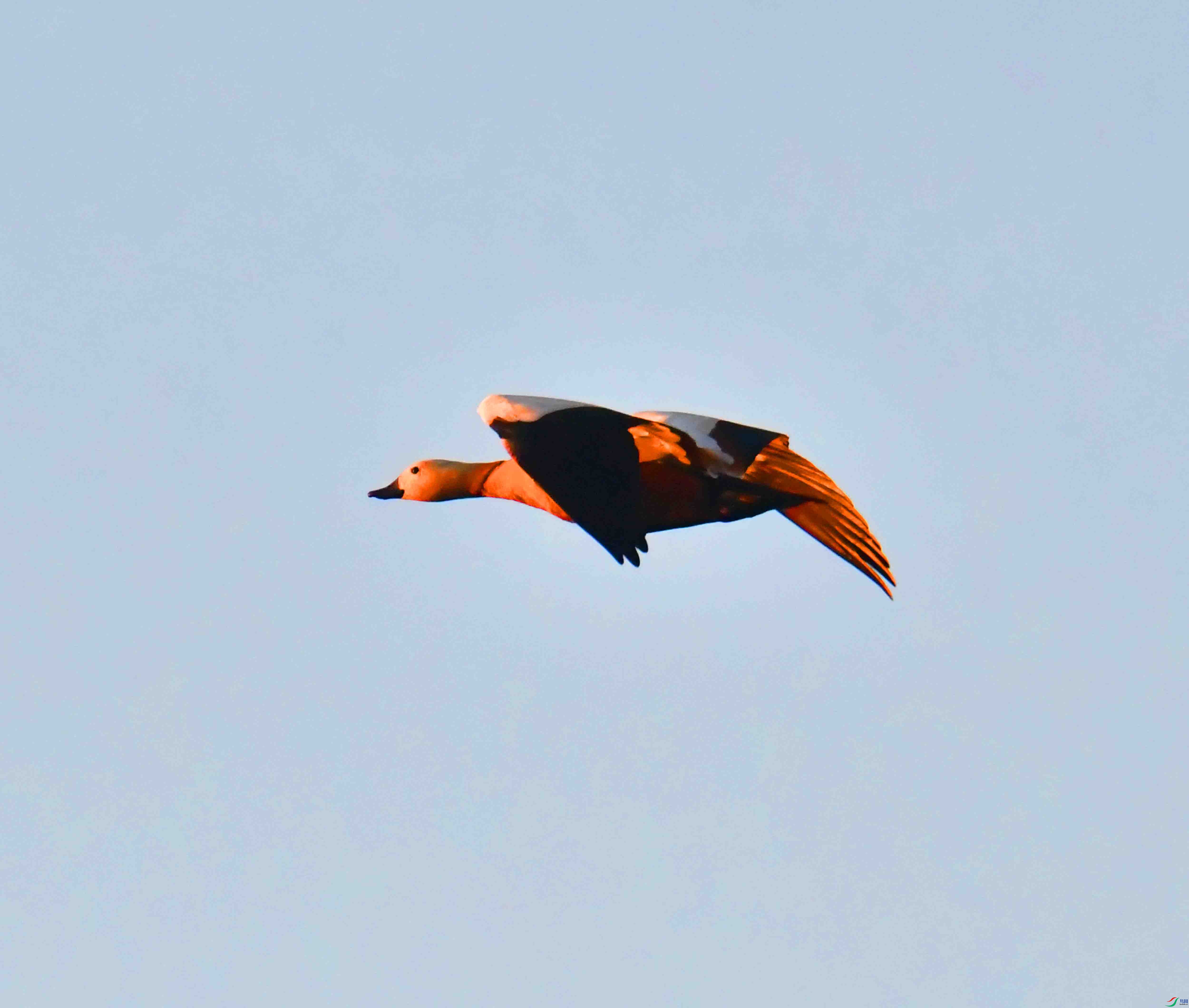 DSC_1112.JPG