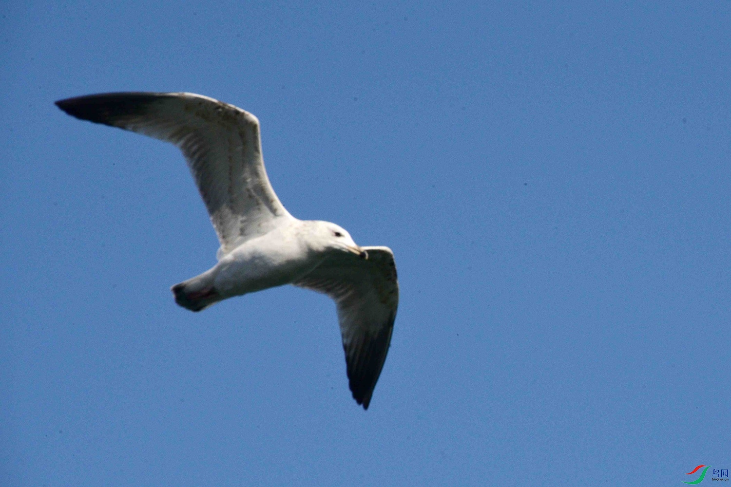 DSC_9745.JPG