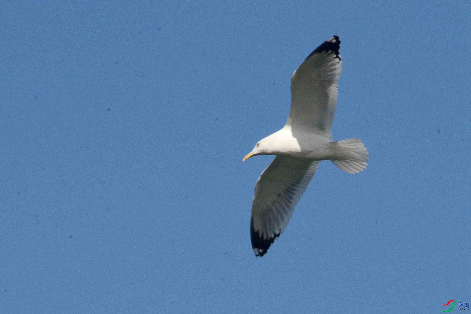 DSC_9783.JPG