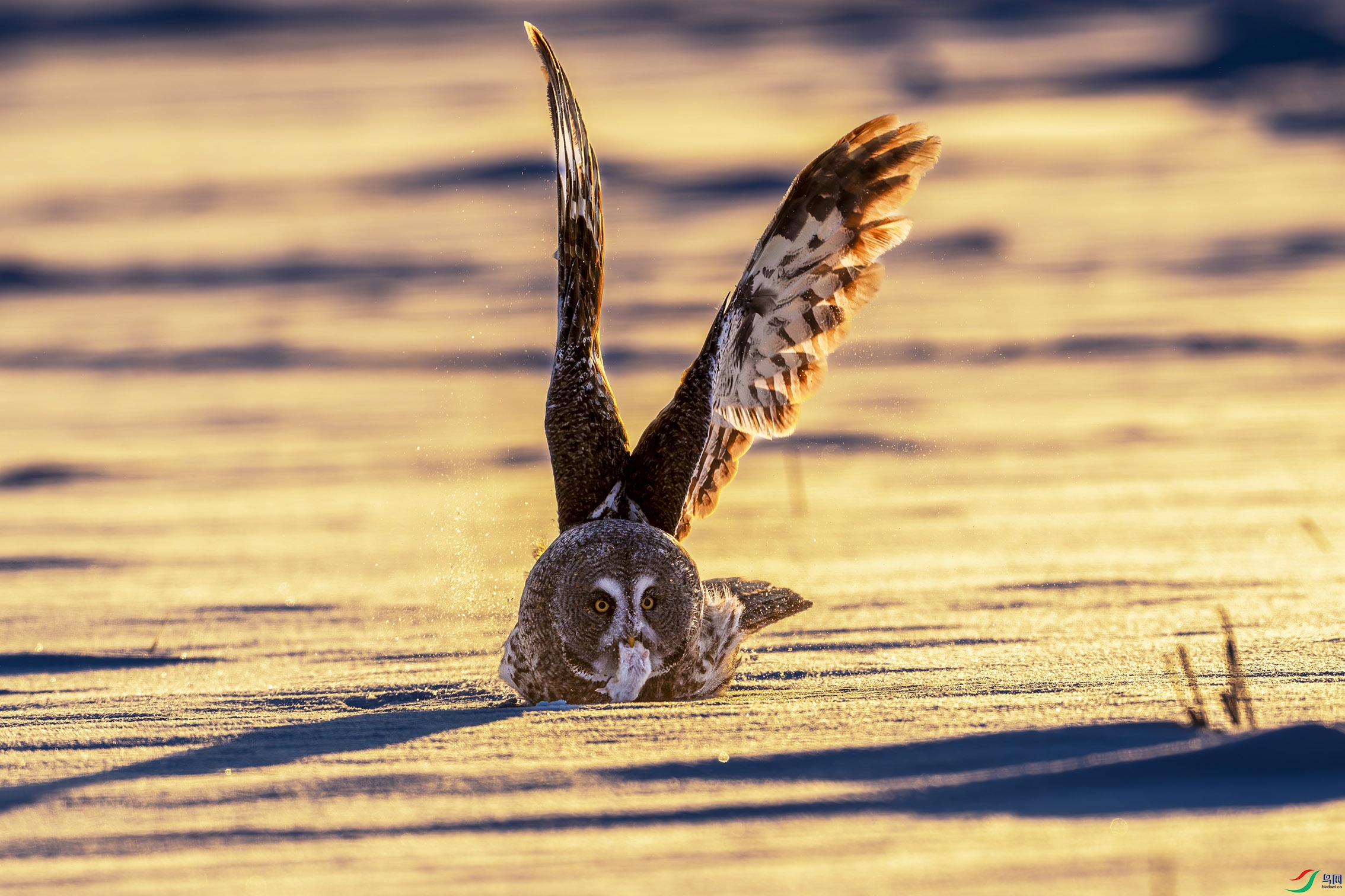 ��DSC02114-����ǿ-NR ����.jpg