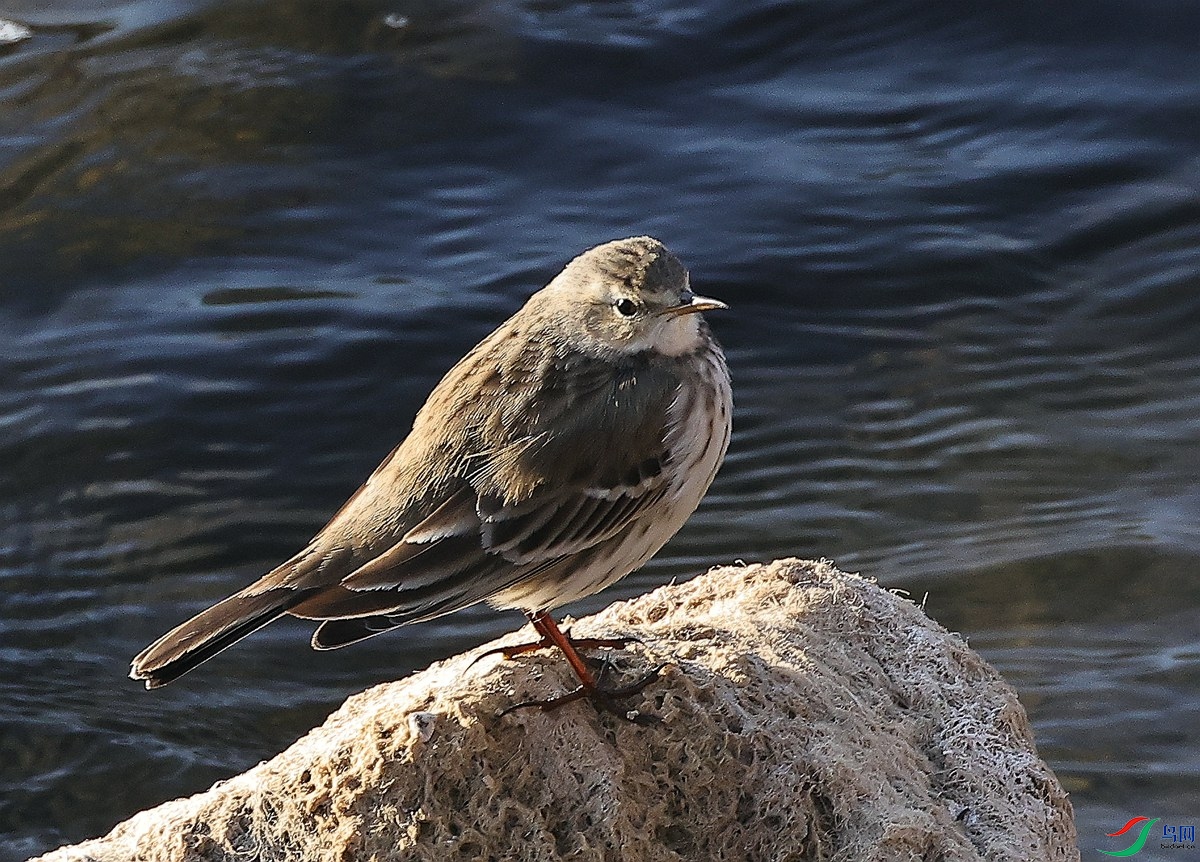3A2753ˮ��-26.JPG