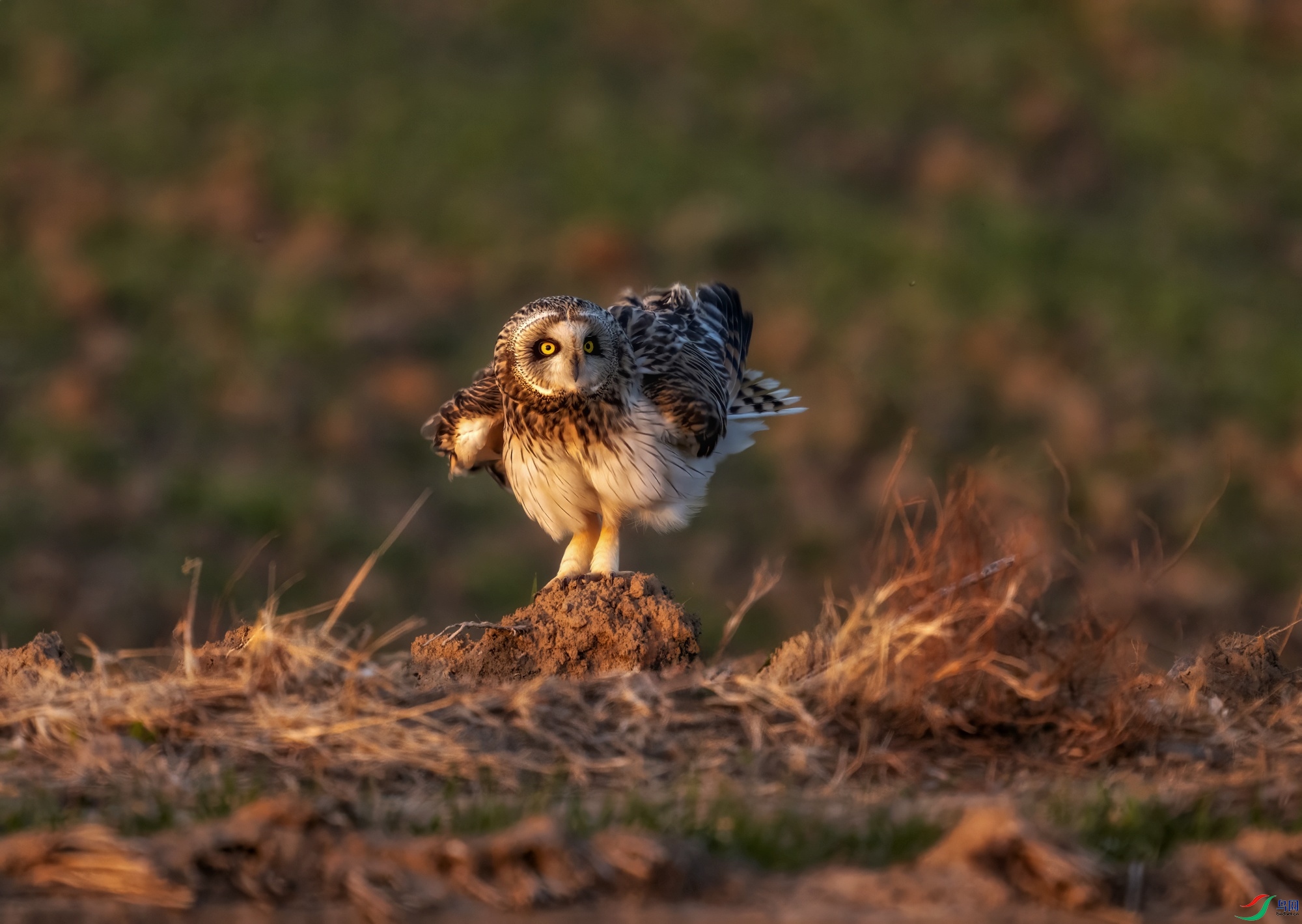 _DSC5381 ����-01.jpeg