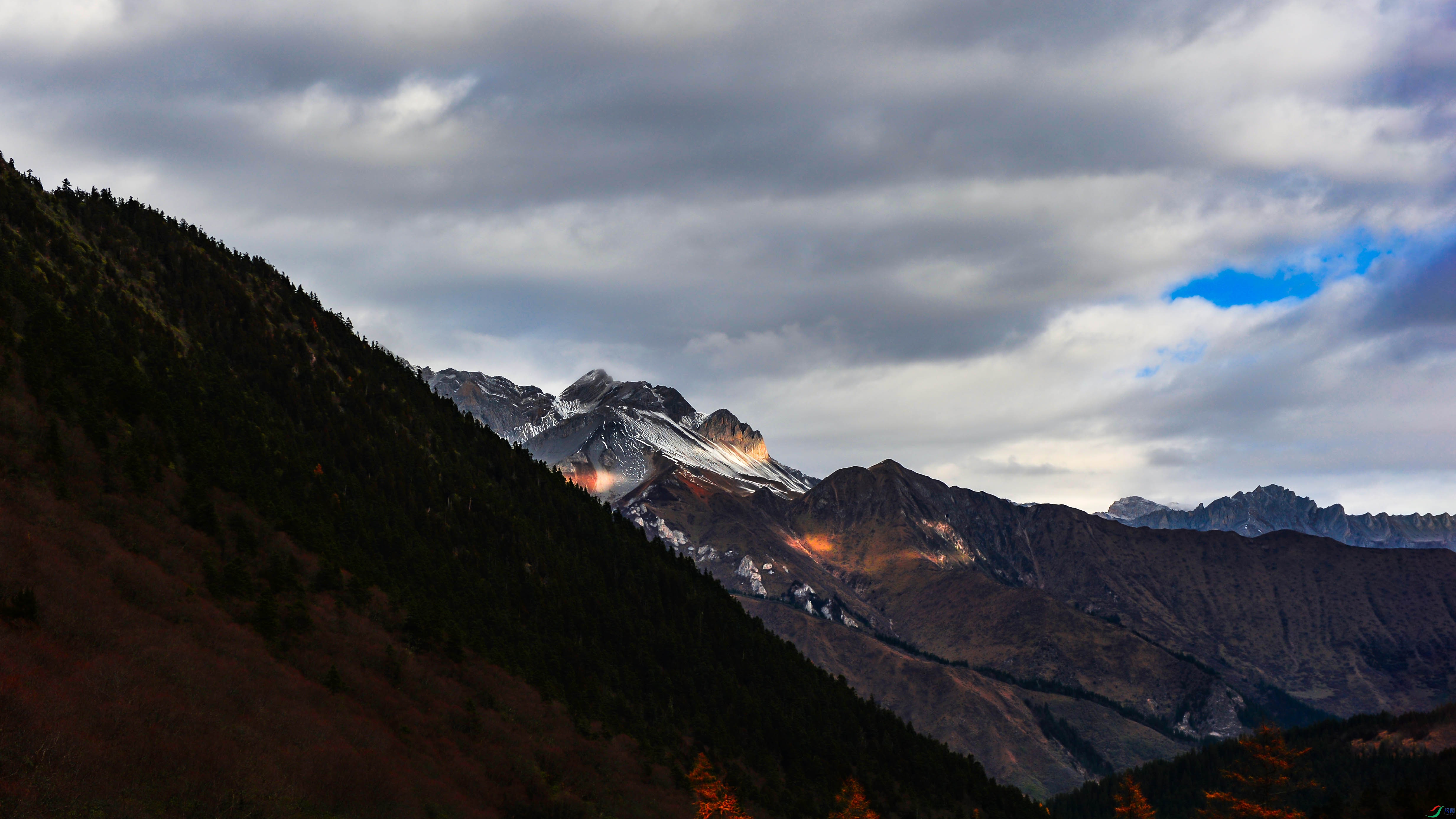 DSC_4277.jpg