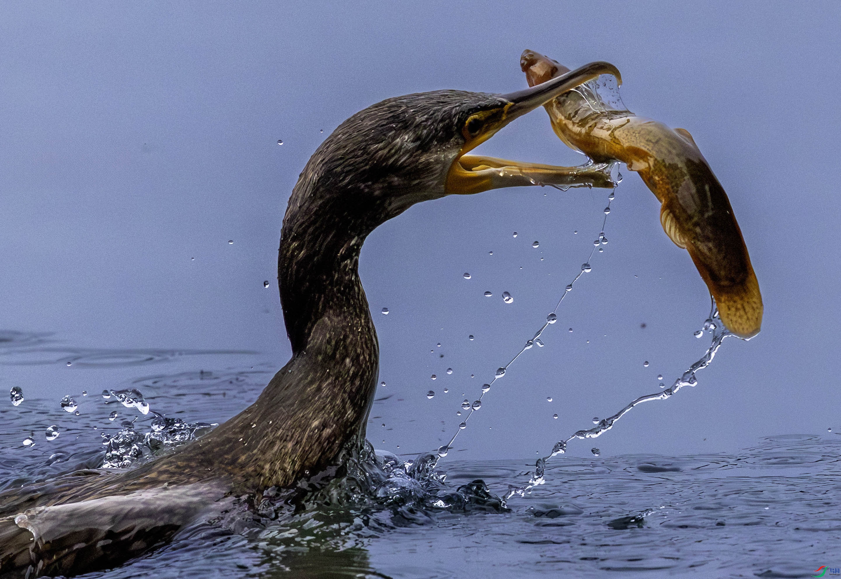 5N2A0135-1 ���� 2.jpg