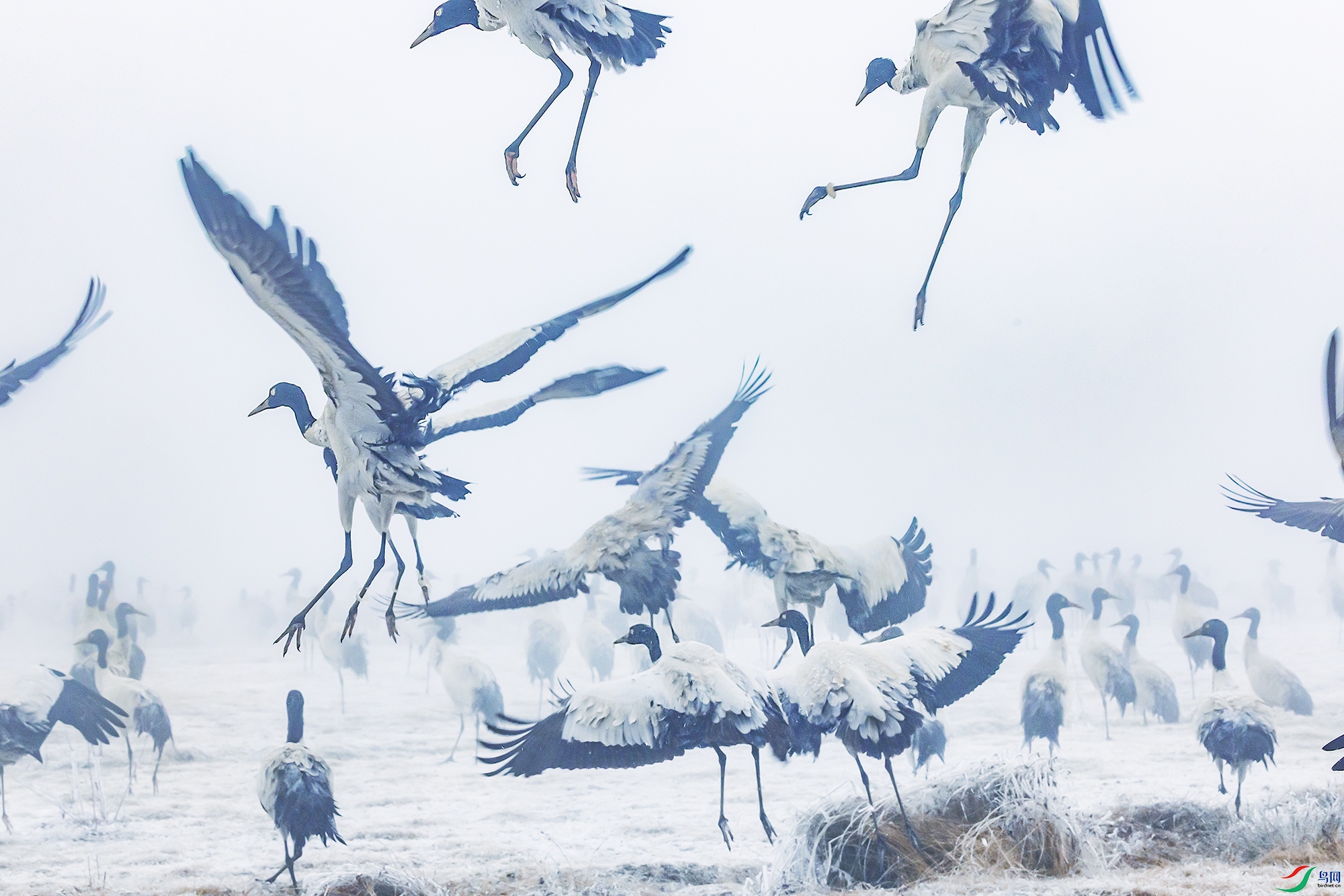 0F7A0131 ����.jpg