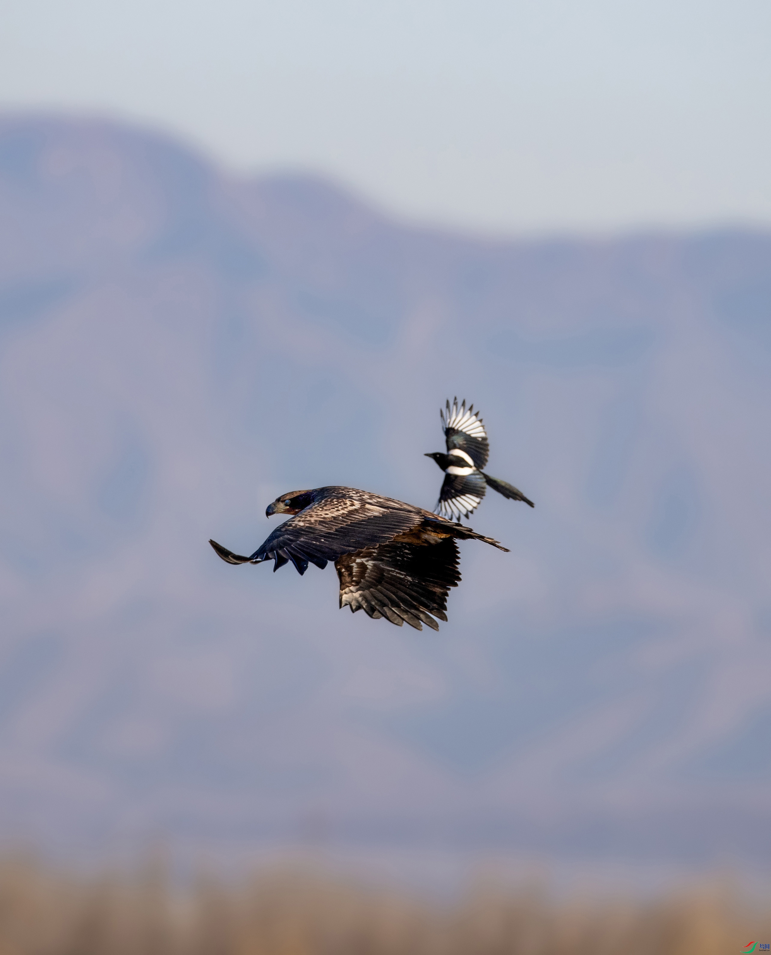 A79I1548 ����.jpg