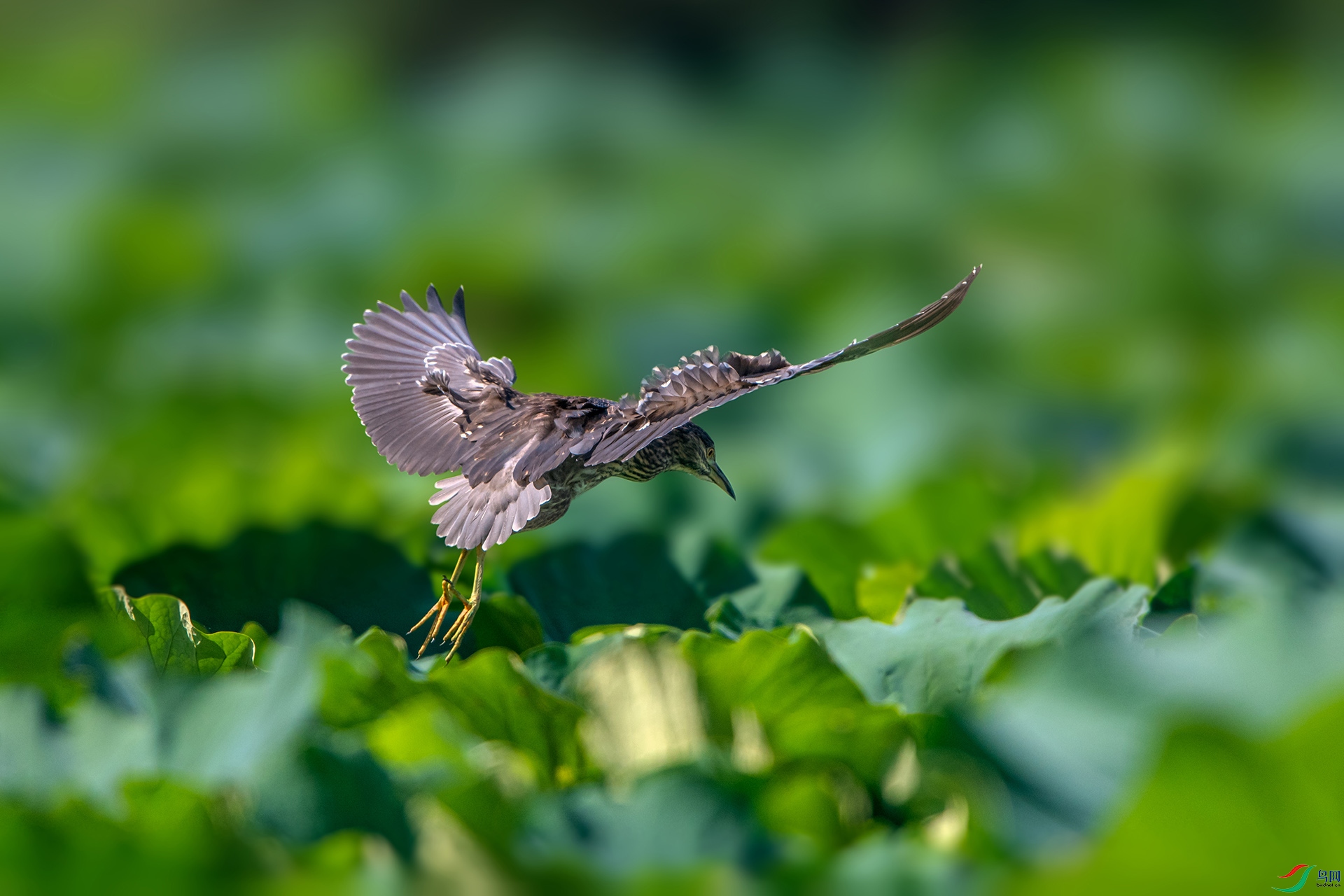 _AUU9785ҹ��(24.8.29).jpg