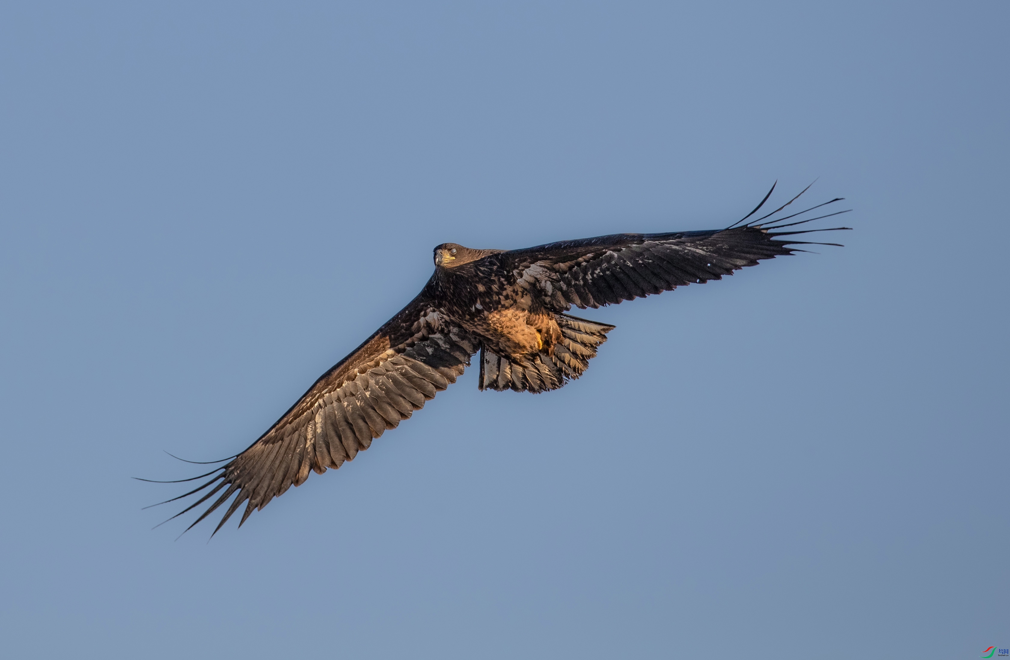 A79I1634 ����.jpg