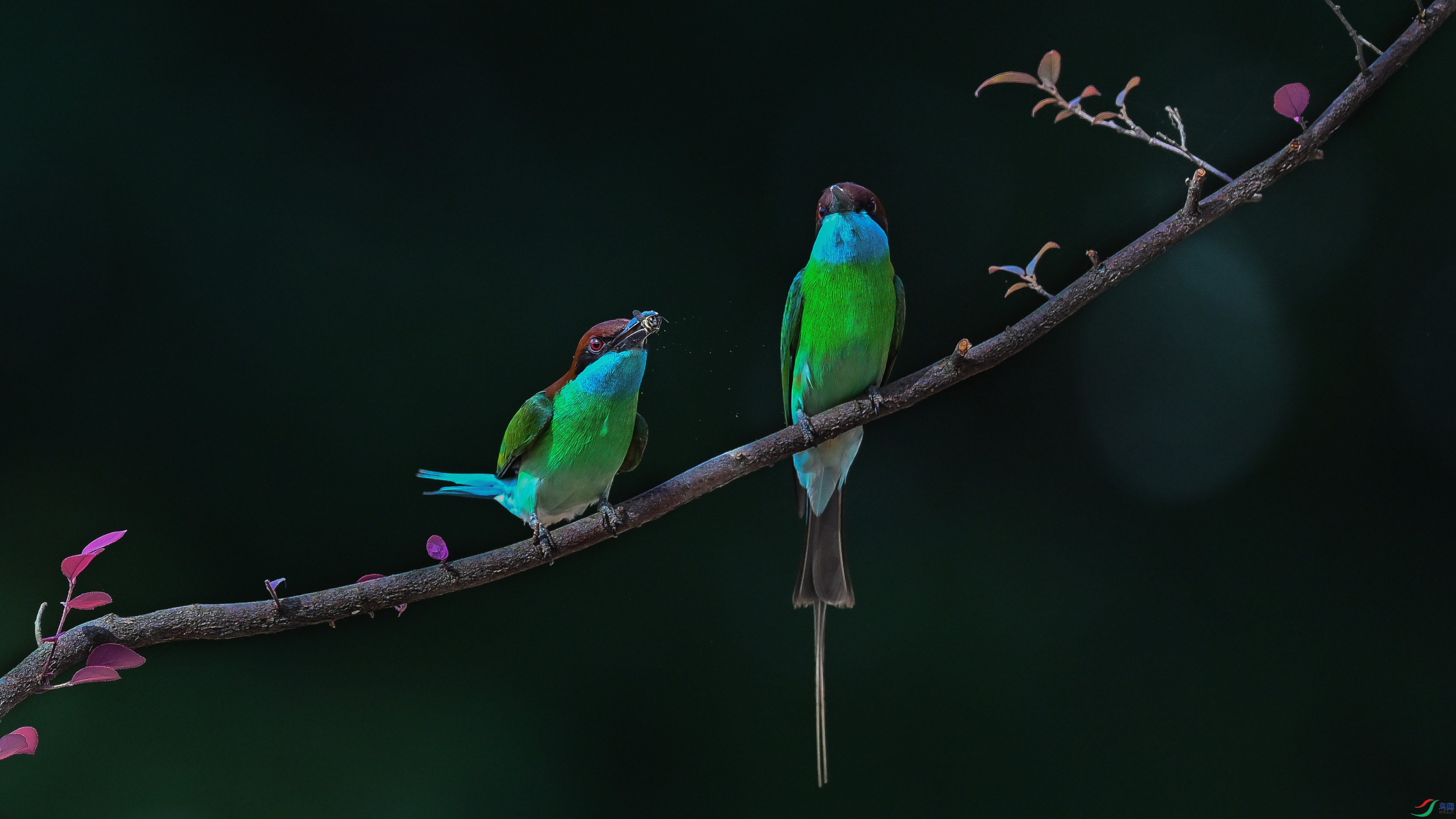 DSC_9914.jpg