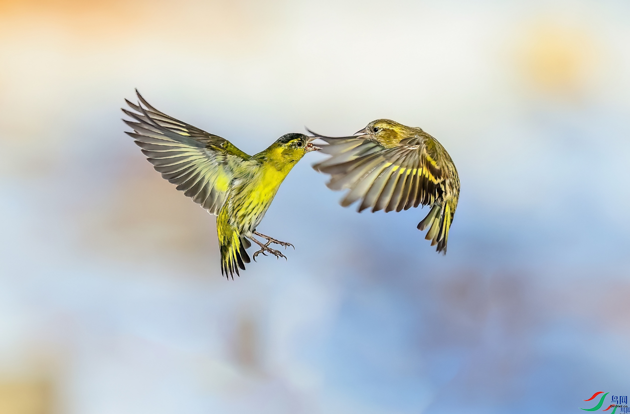 ������[�ٻ��������] 9.png