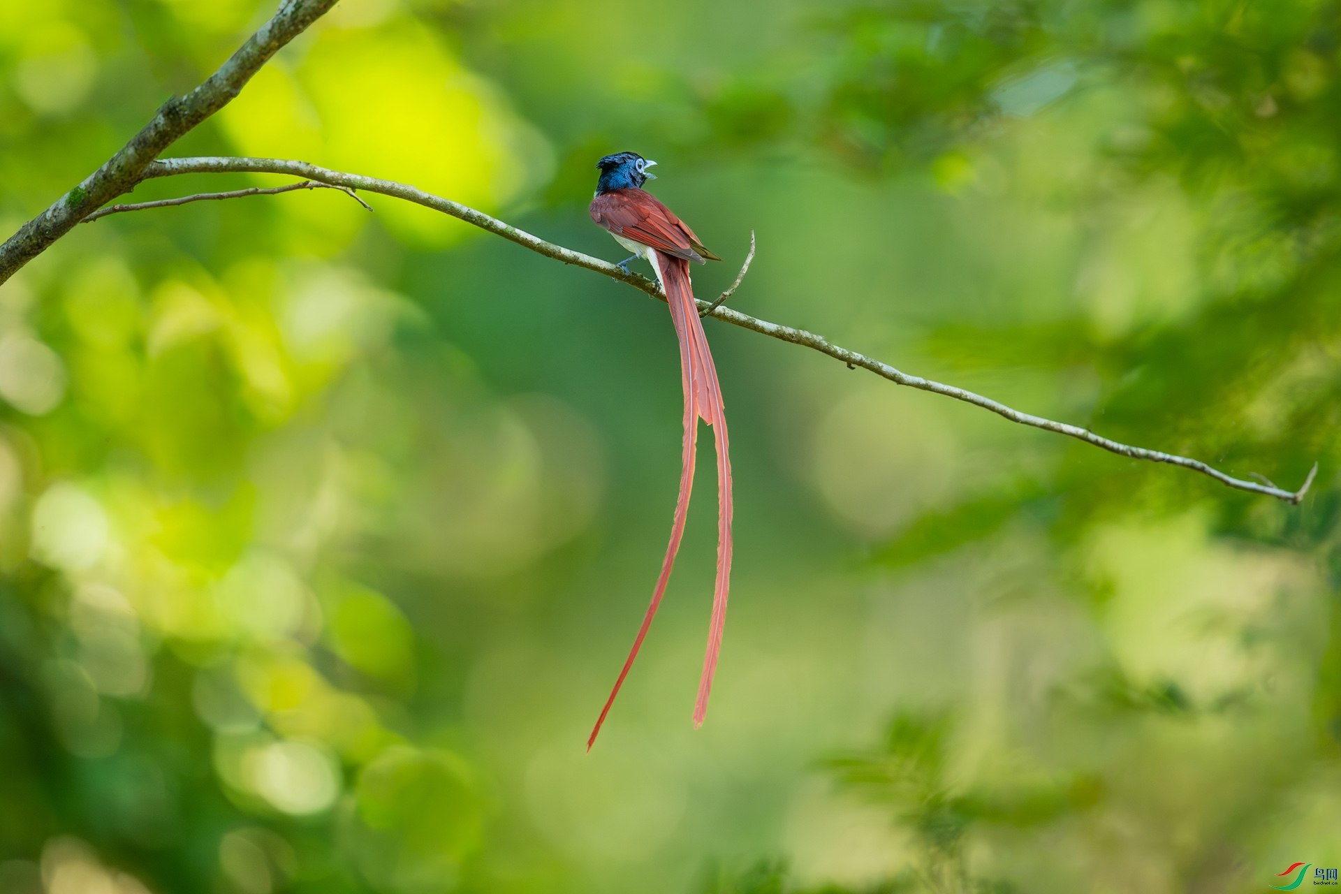 DSC_6065-����ǿ-NR.jpg