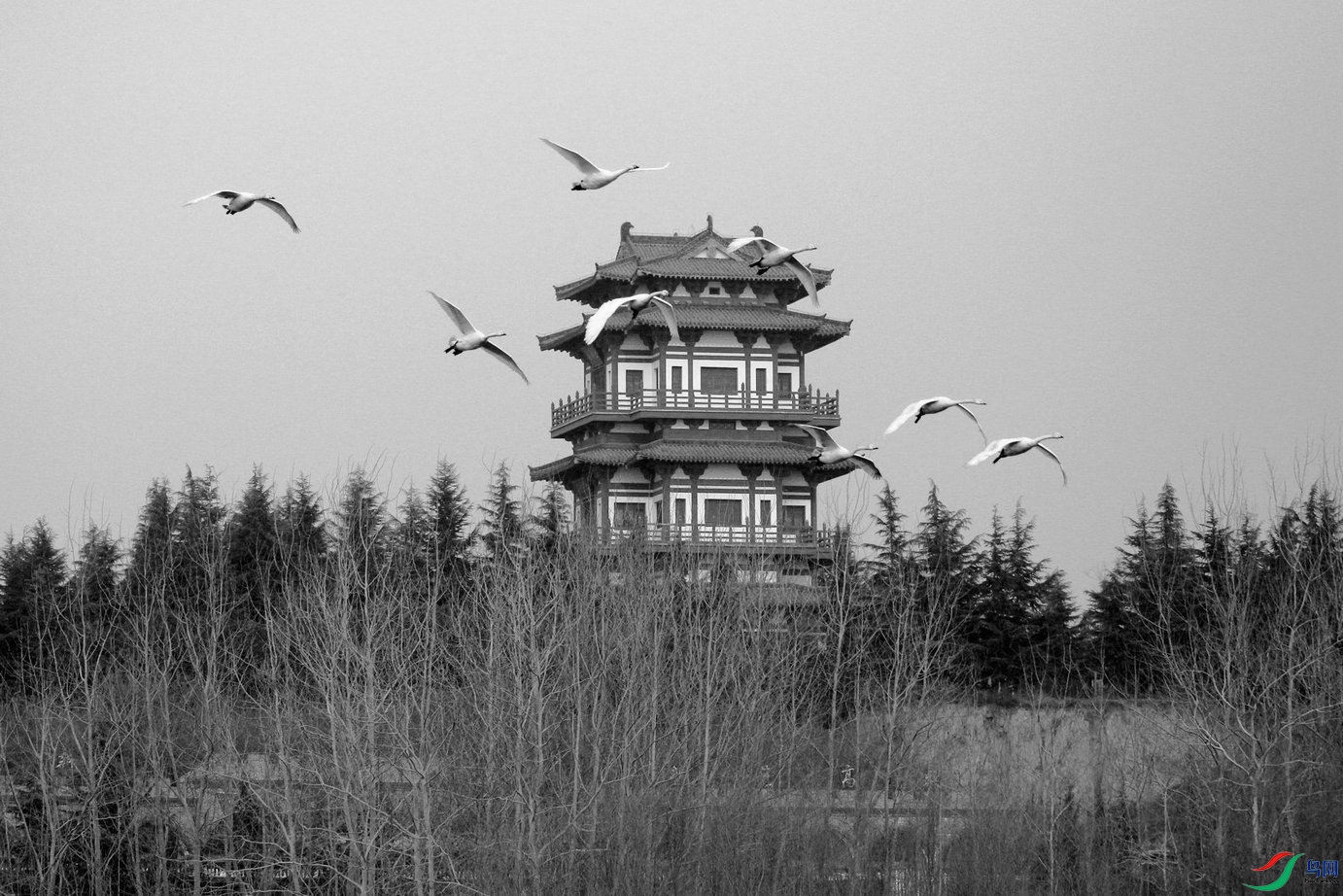 BG3A0288_���� - ���� - ����_����_����_����.jpg