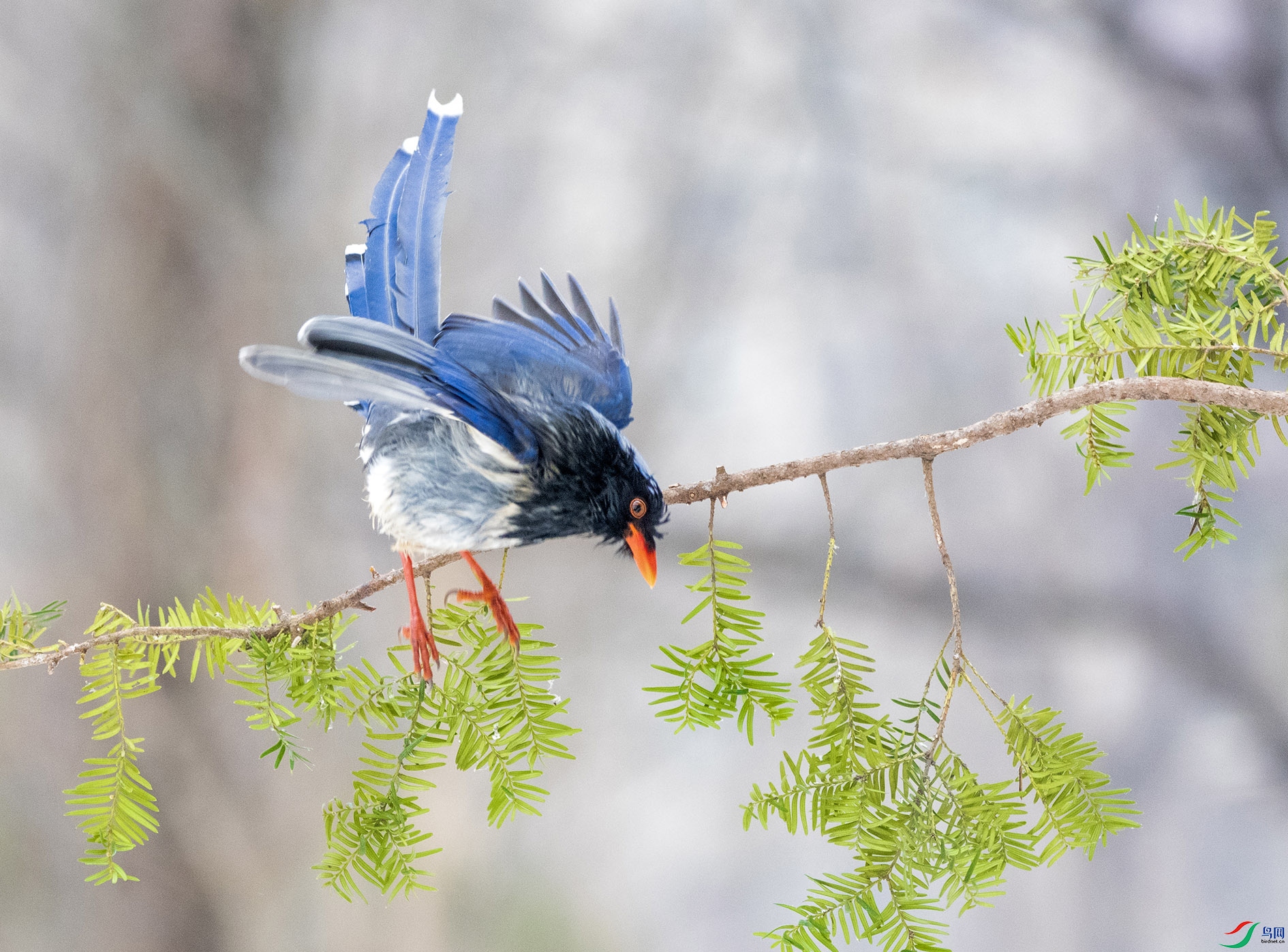 DSC_6560_��ͼ�� ����.jpg