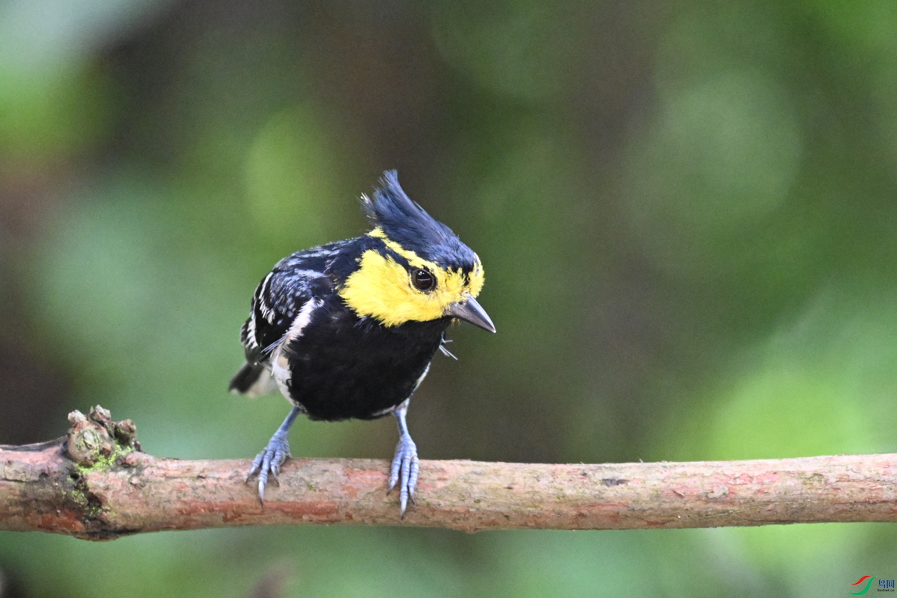 DSC_0038.JPG