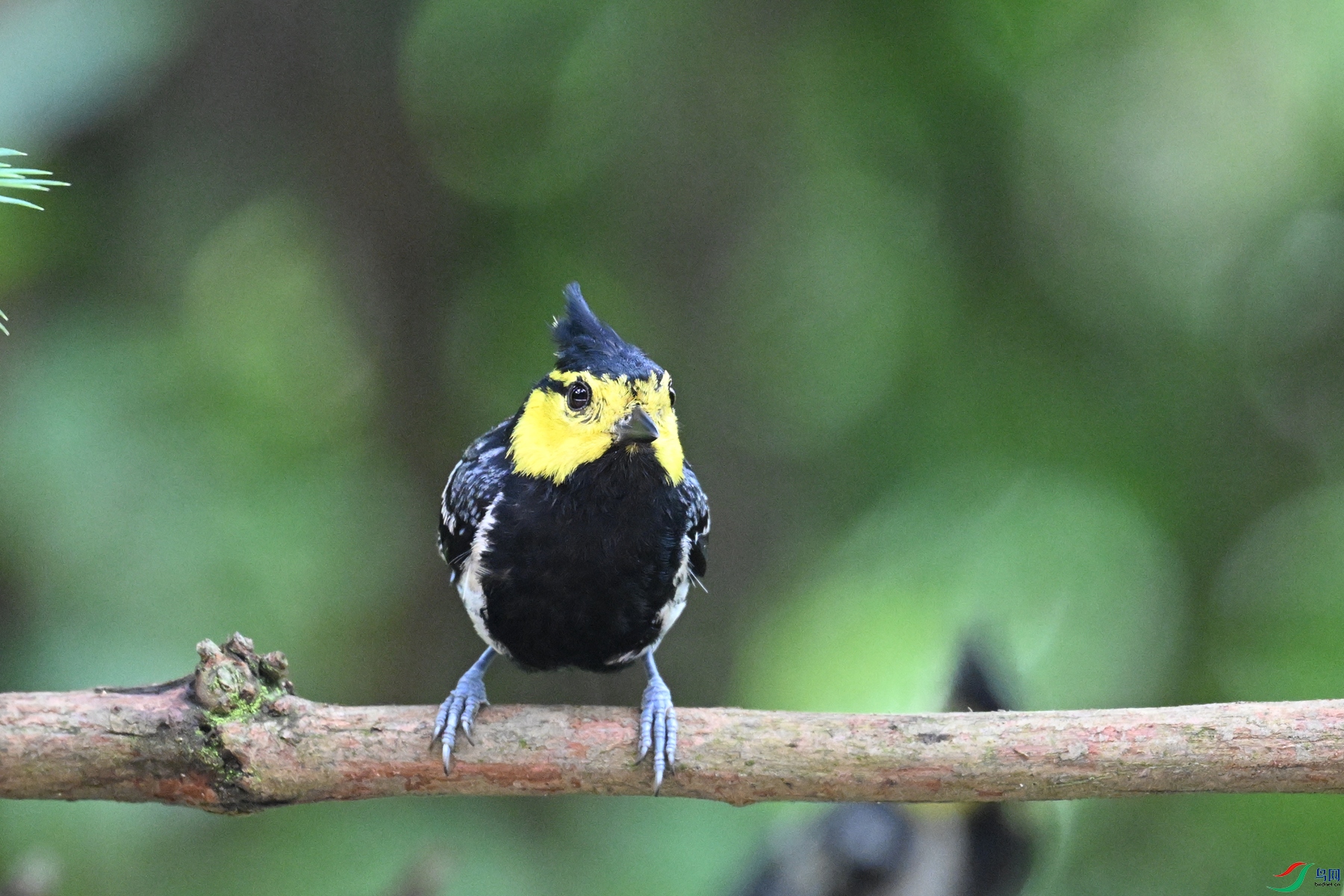 DSC_0056.JPG