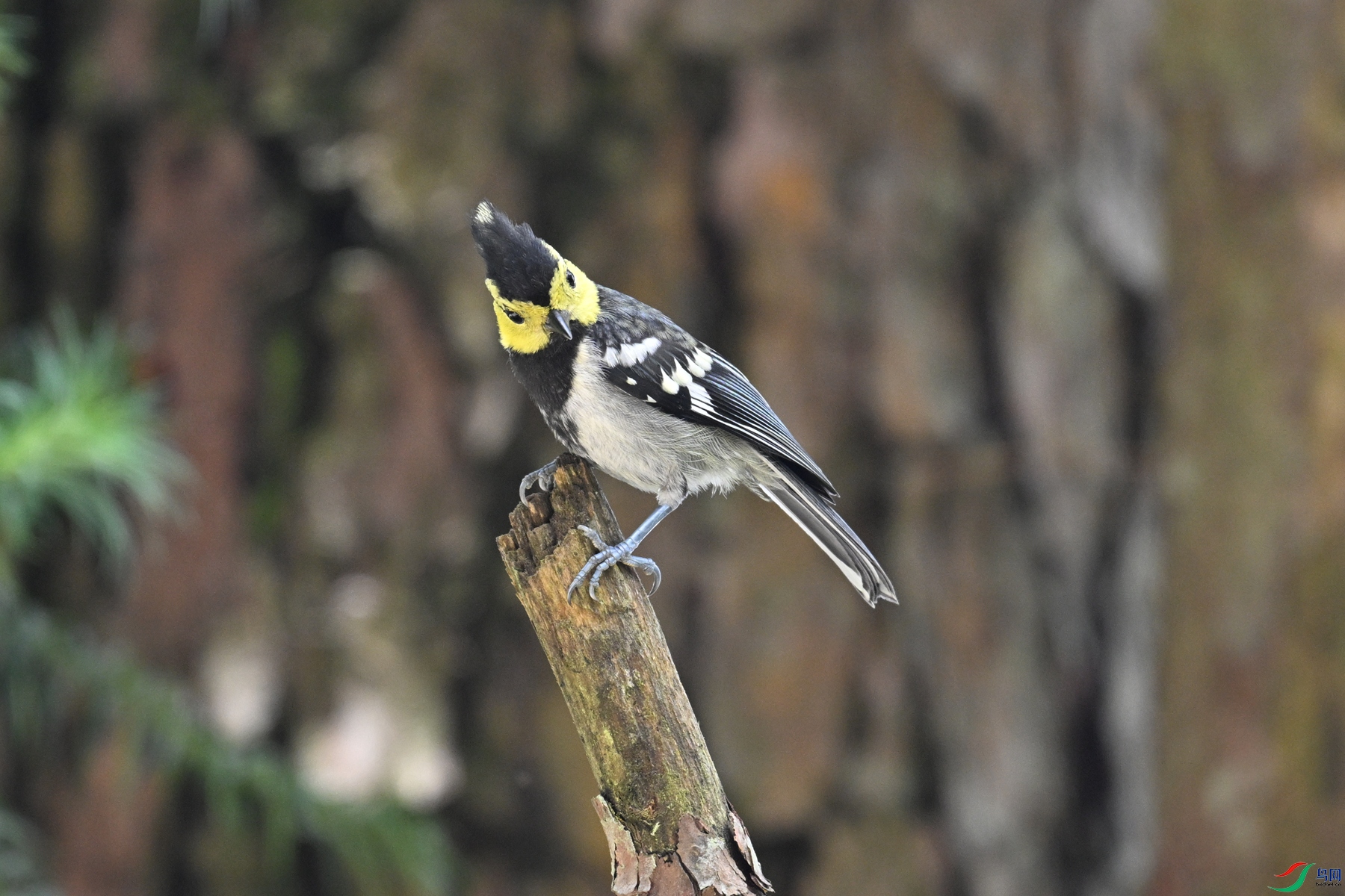 DSC_0079.JPG