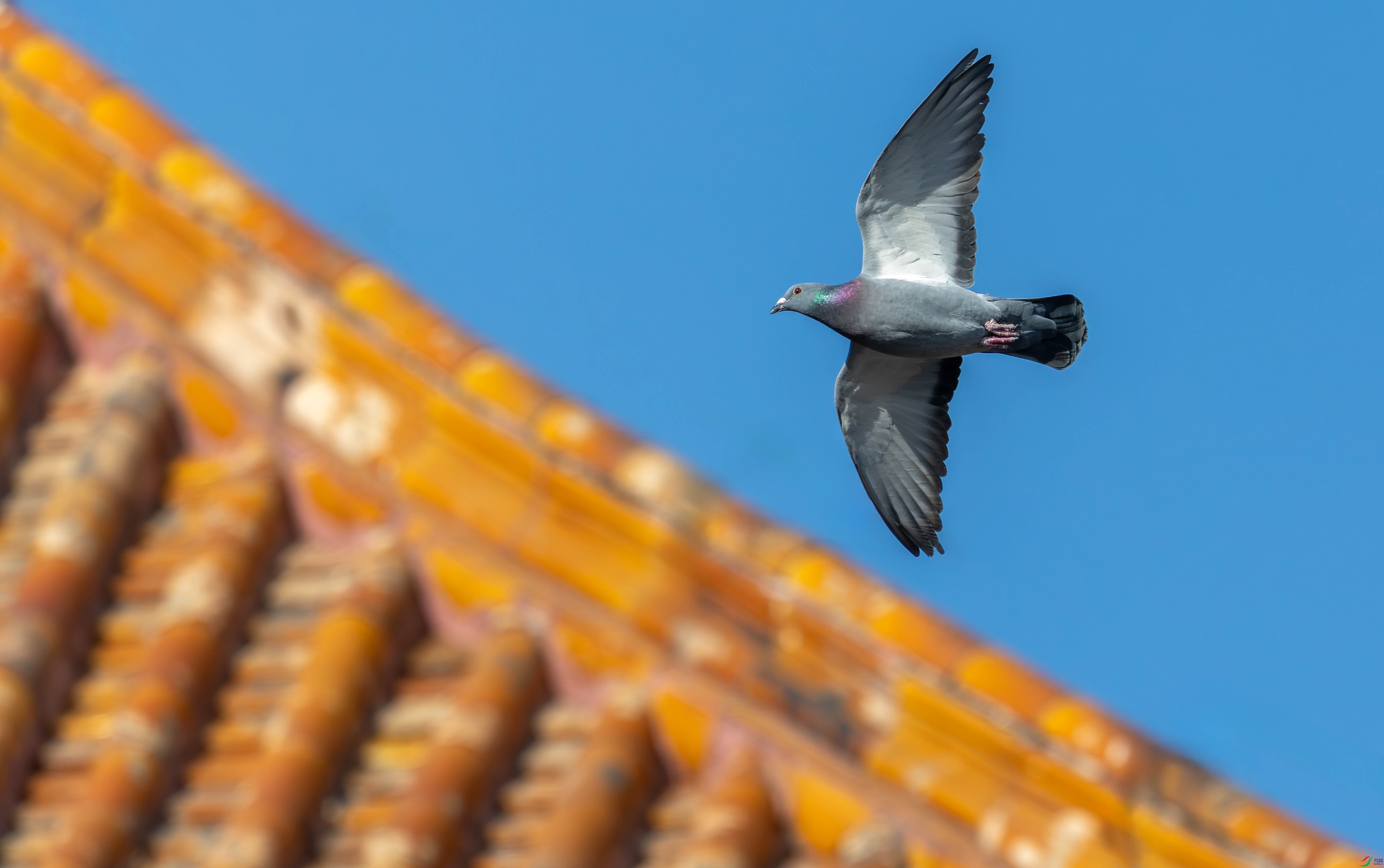 5N2A1433-3 ����.jpg