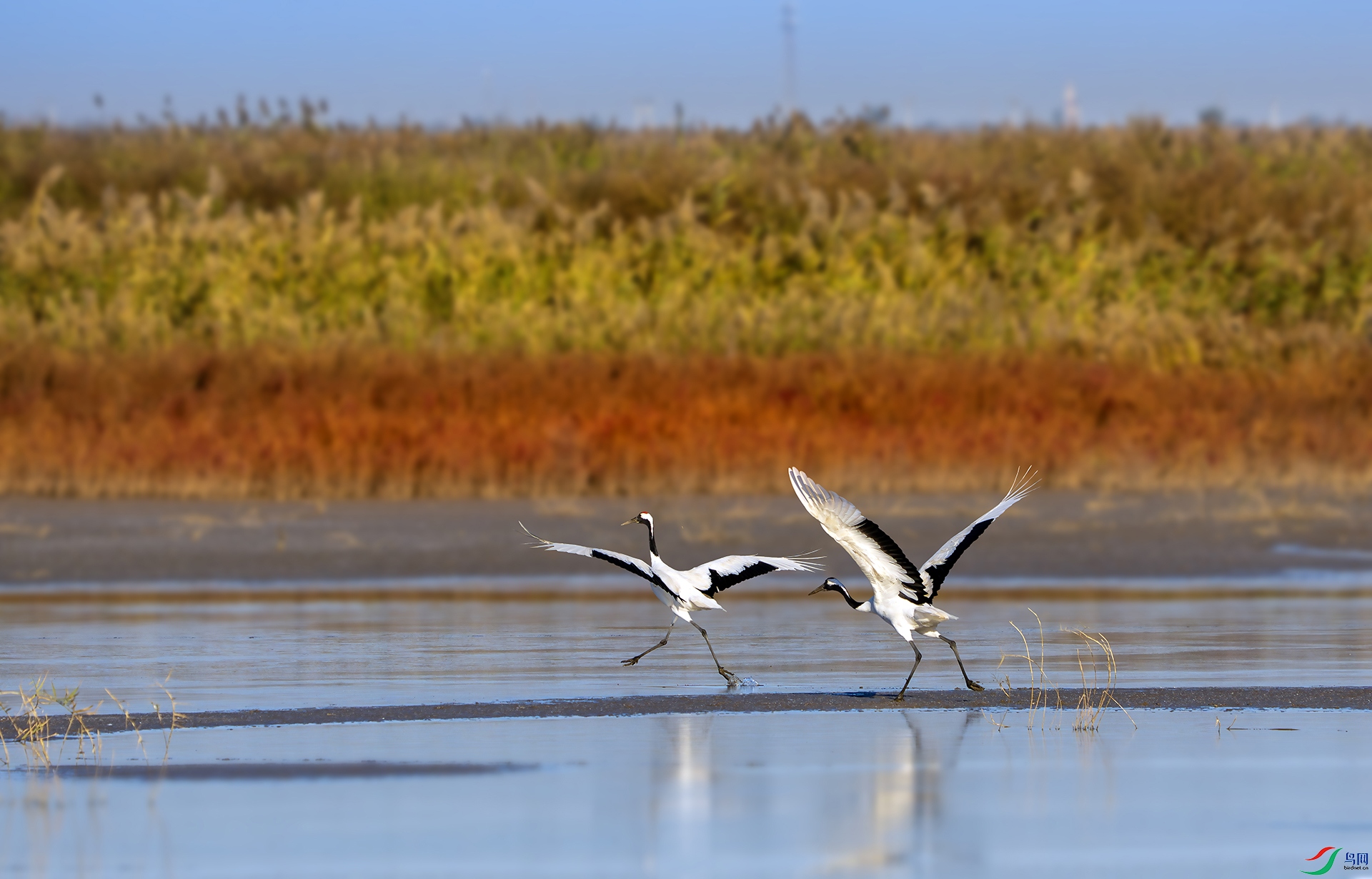 DSC01431-����ǿ-NR ���� 2.jpg