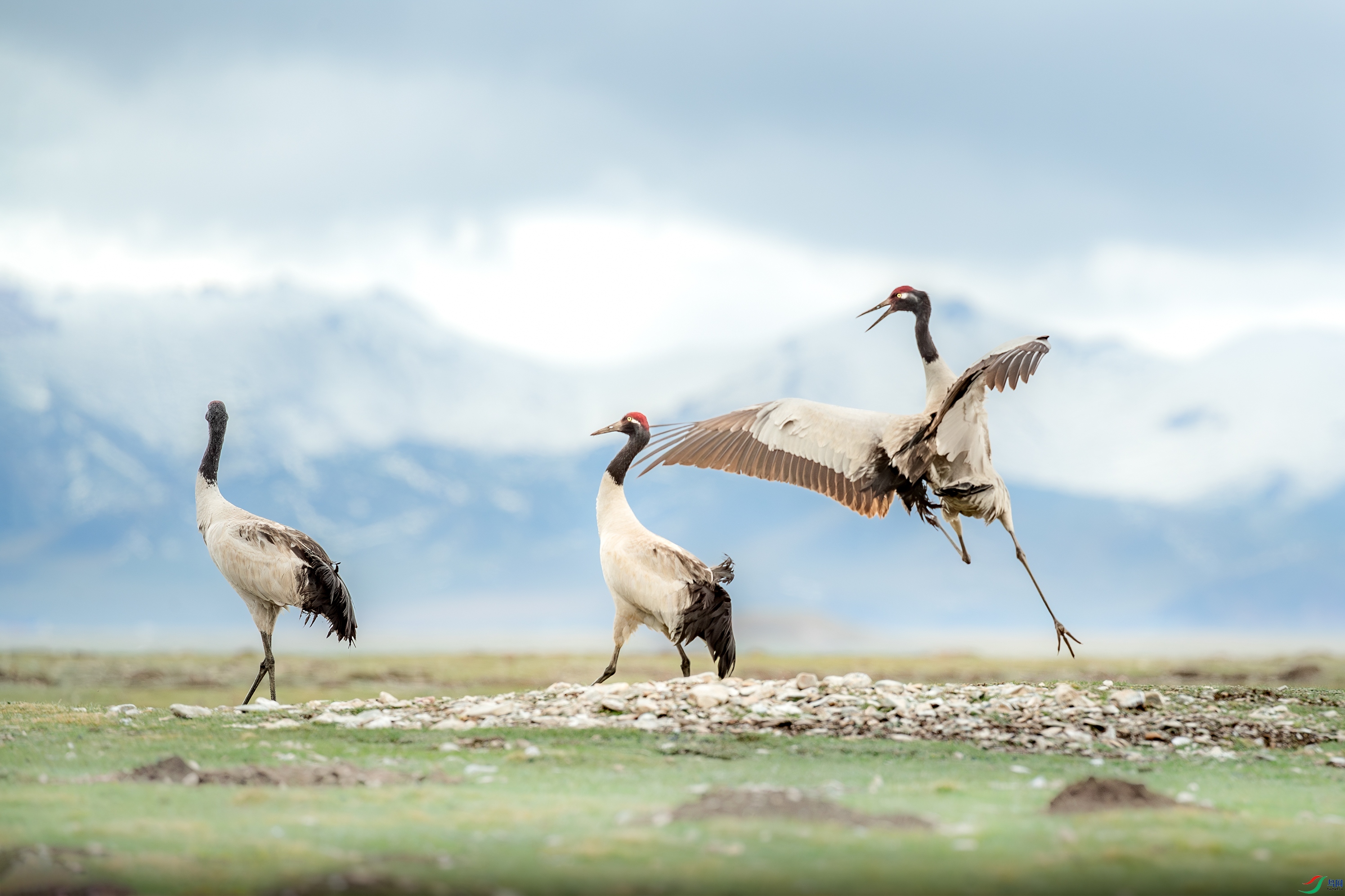 AY8I9577 ����.jpg